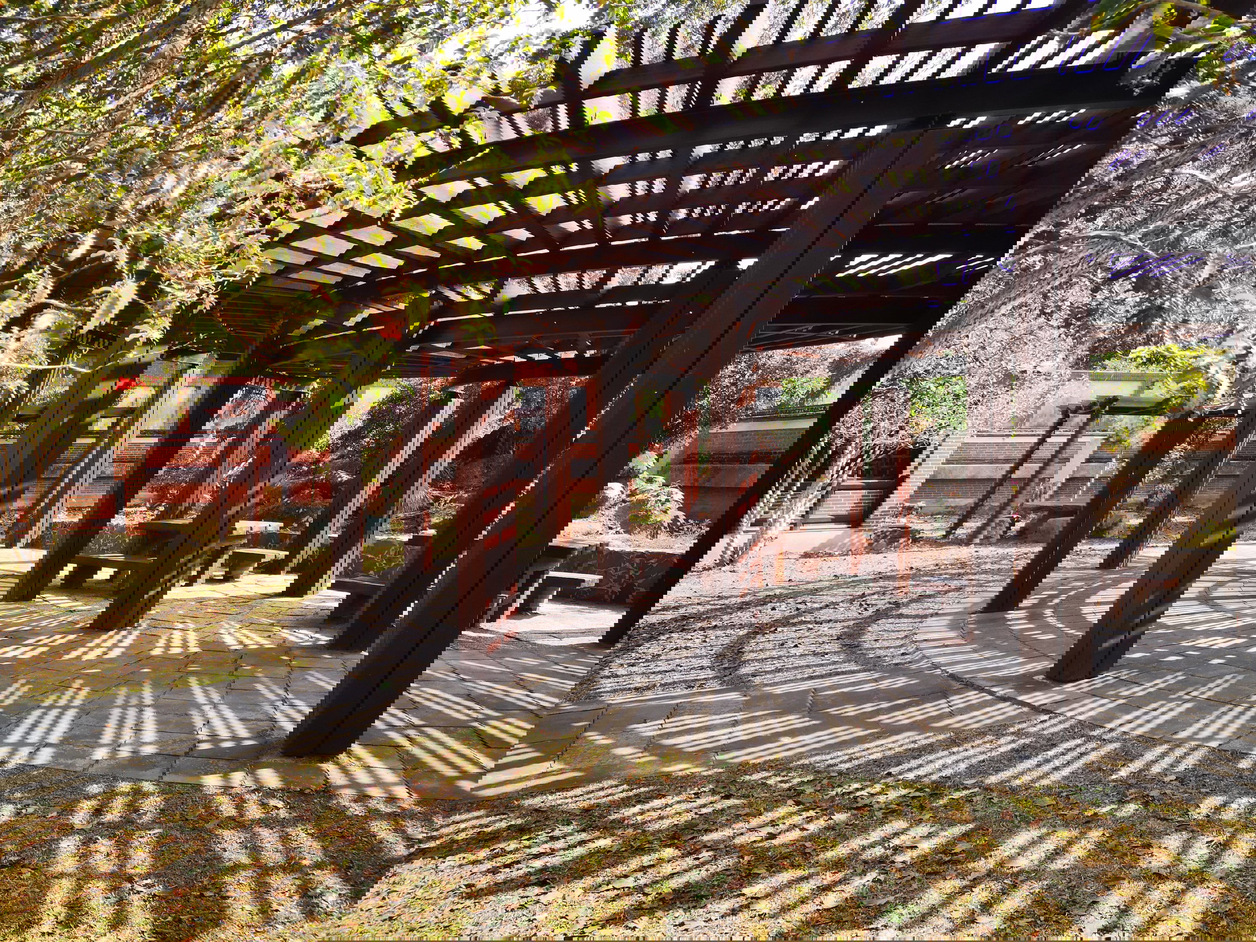 برجولات الرياض