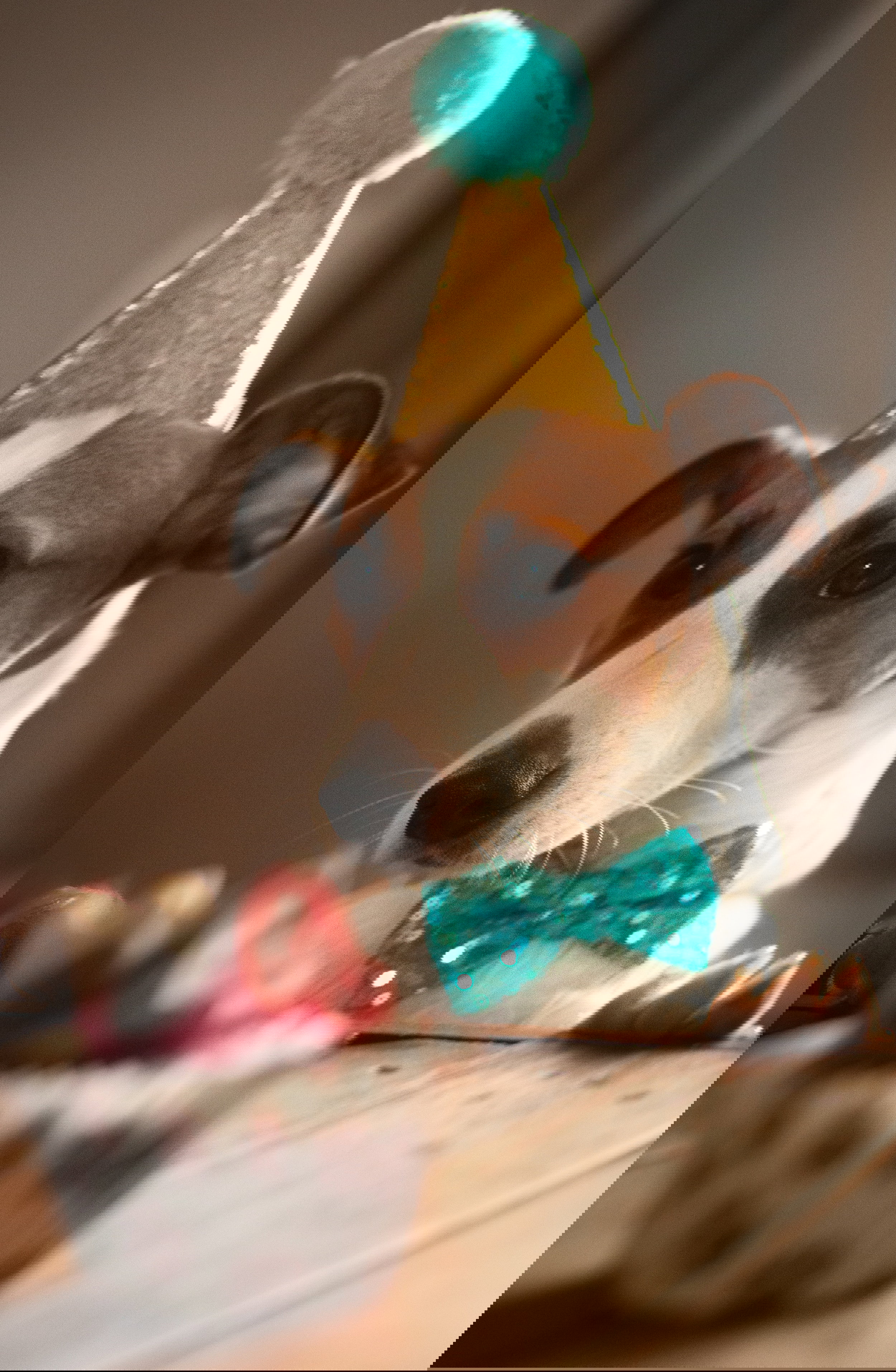 Through my camera, I capture the magic and emotion of this birthday, freezing laughter, hugs and looks full of affection, so that each image is an eternal memory of a special day.