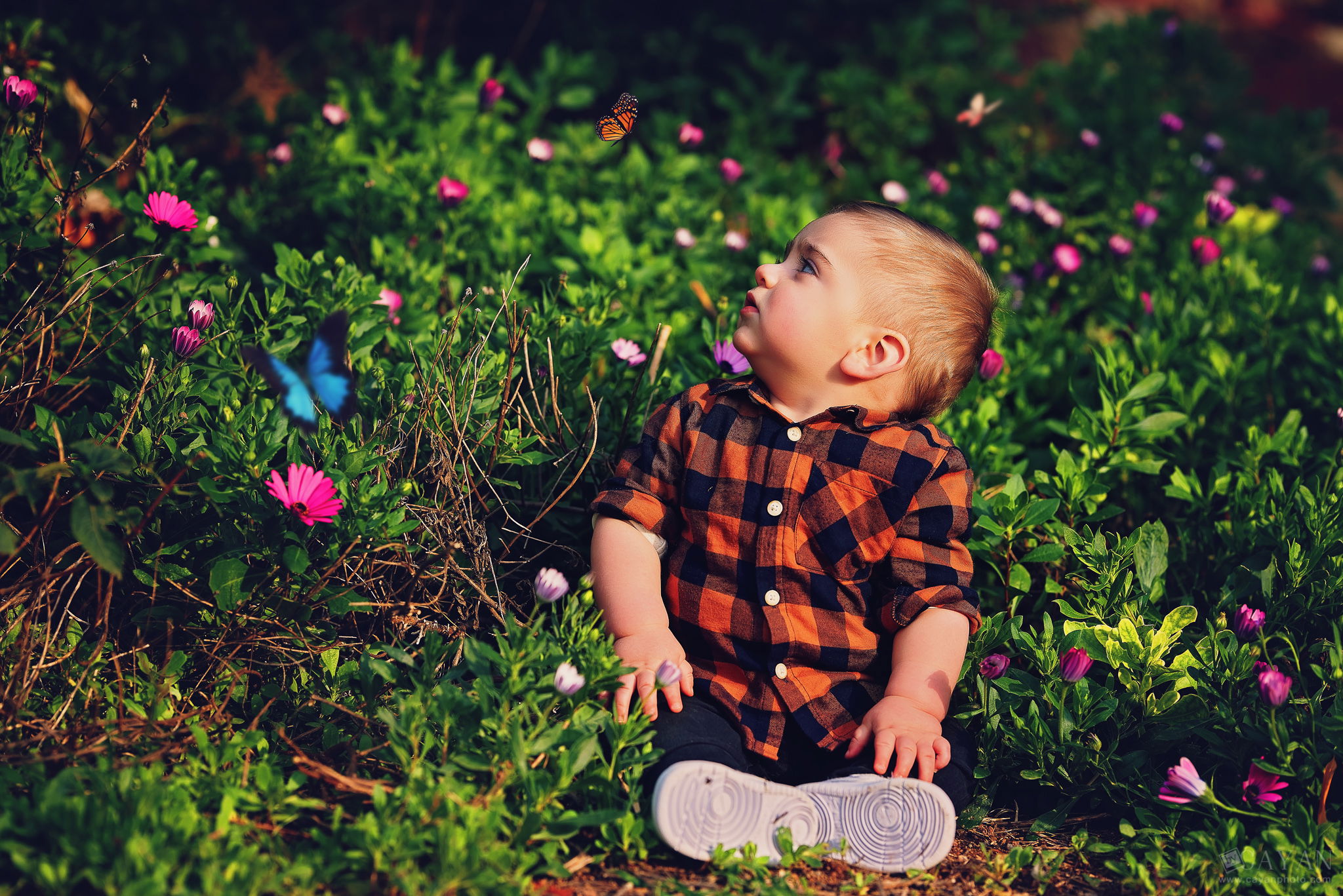 With Enzo - Instagram: _im_baby_enzo_