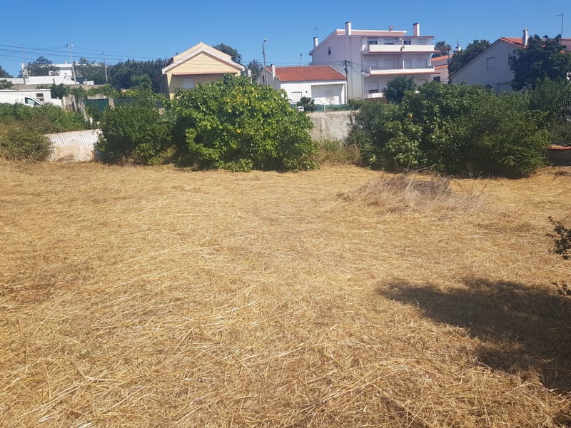 limpeza de terreno urbano em queijas