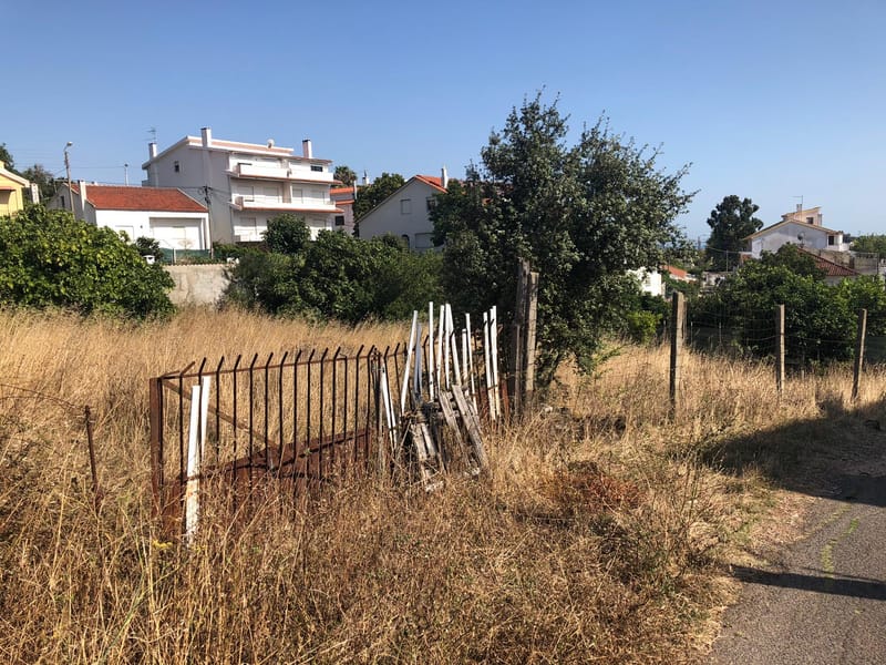 limpeza de terreno urbano em queijas