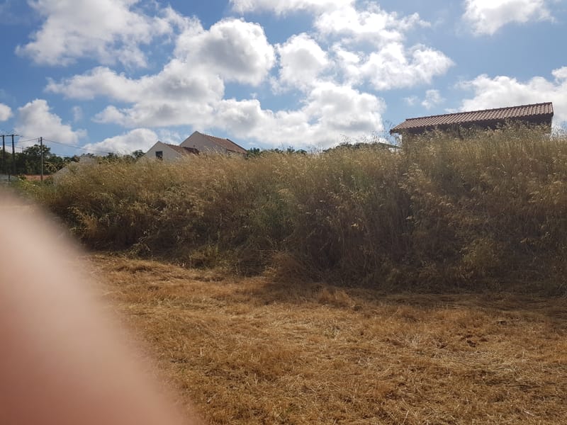 limpeza de terreno em Santiago do cacém