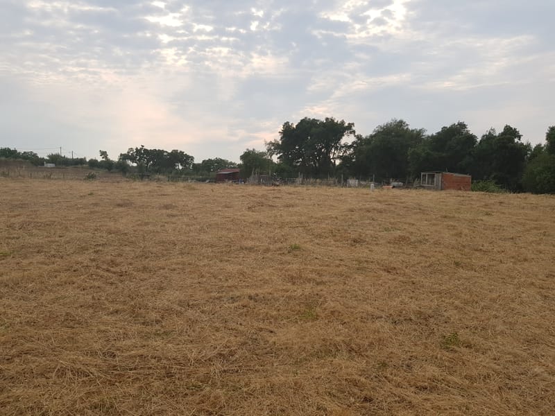 limpeza de terreno em Santiago do cacém