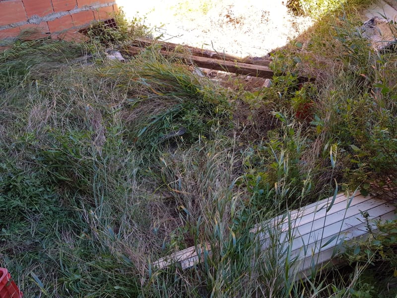 limpeza de quintal em oeiras