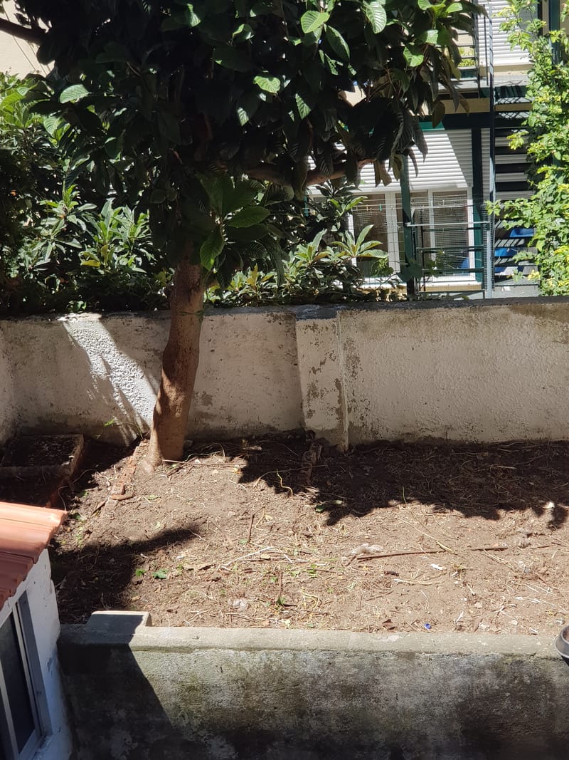 limpeza de quintal na penha de frança