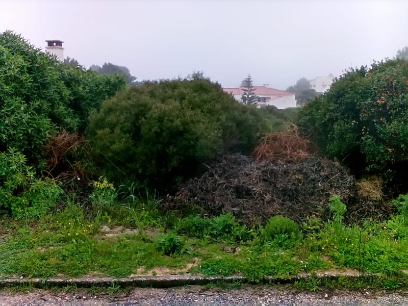 limpeza de terreno urbano em alzejur