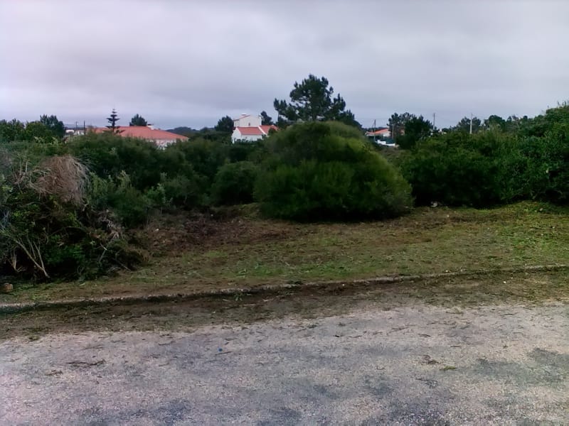 limpeza de terreno urbano em alzejur