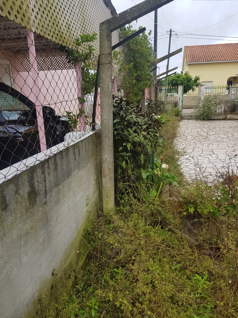 limpeza de quintal em quinta do conde