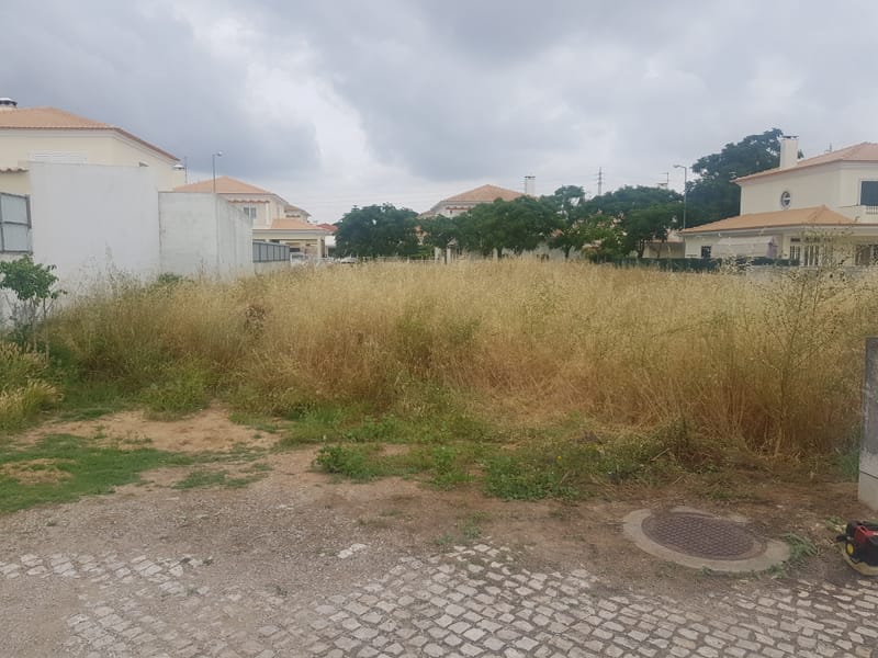 limpeza de terreno urbano em setubal