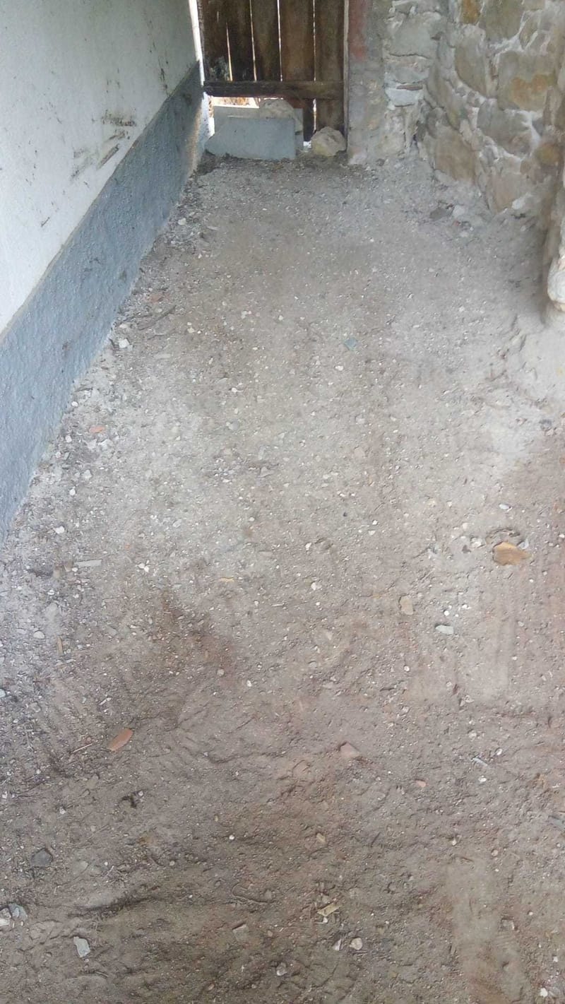 limpeza de quintal em coimbra