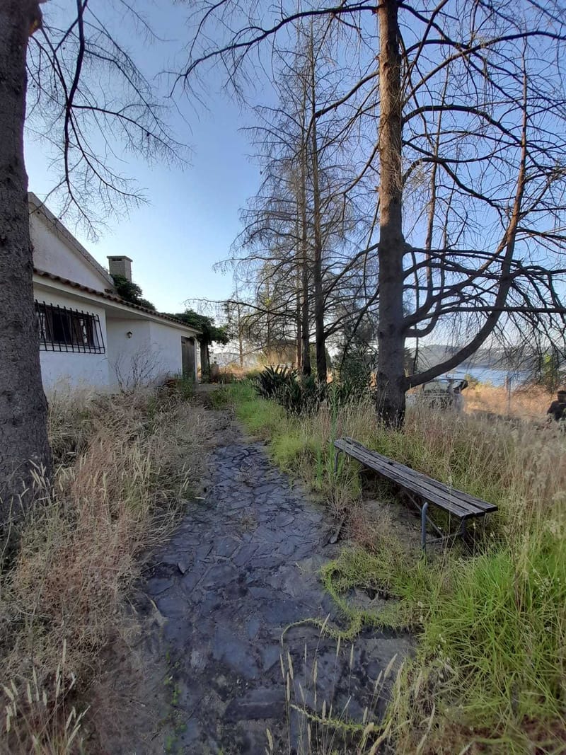 limpeza de terreno urbano em tomar