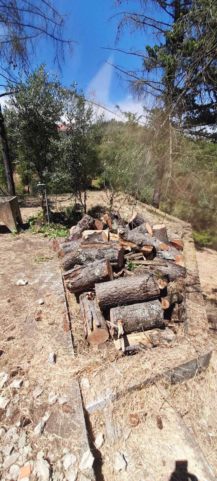 limpeza de terreno urbano em tomar