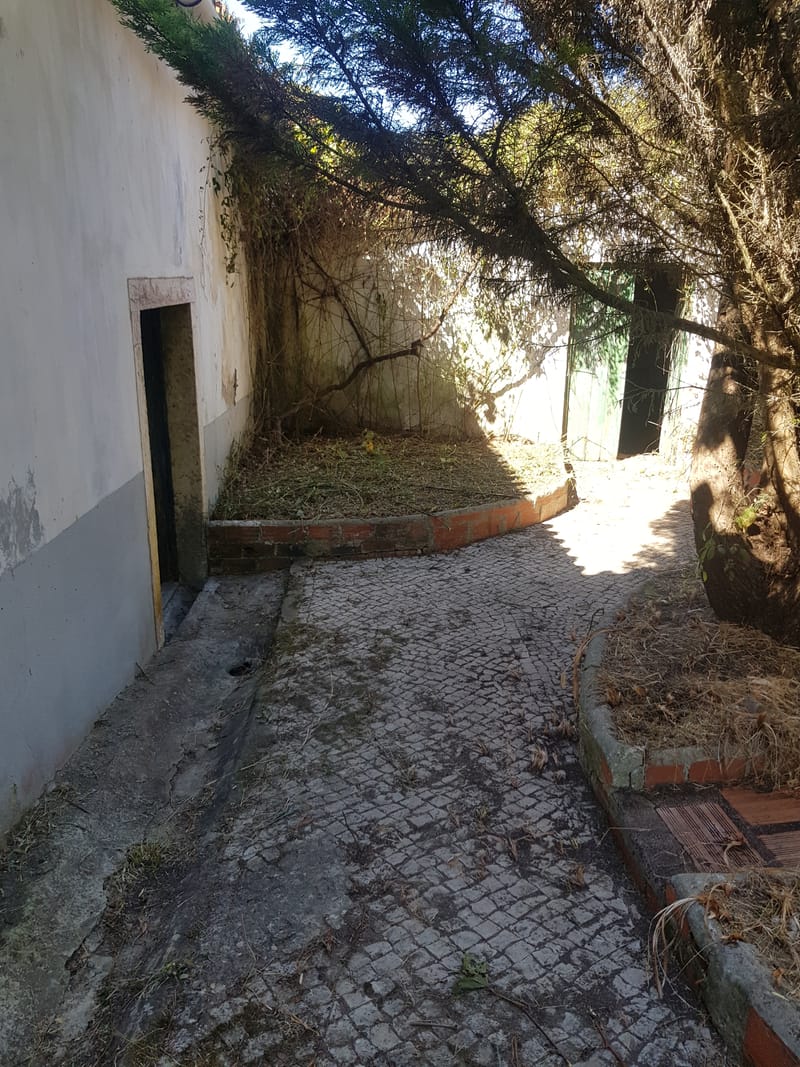 limpeza de quintal em Mafra