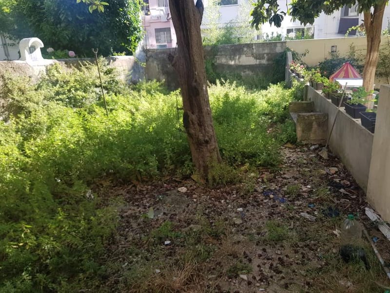 limpeza de quintal em granho novo