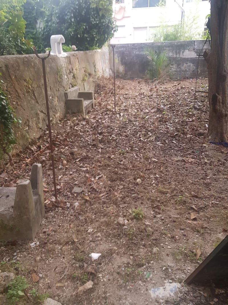 limpeza de quintal em granho novo