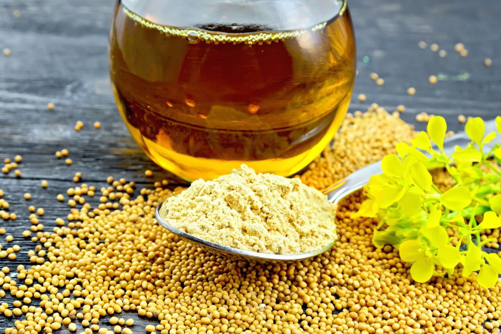 An analysis of mustard oil its health benefits and uses Gulaboils