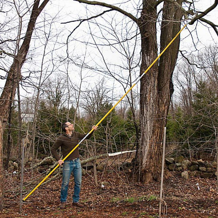 Which Pole Saw has the Longest Reach? YourGardenGuide