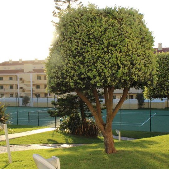 Clean air and peaceful environment!