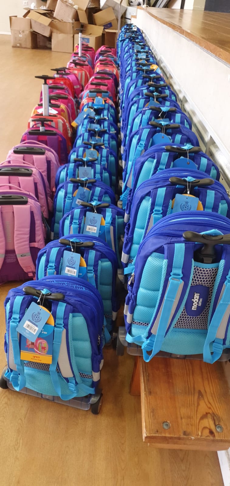 Distribution of cases to grades A and C in Tishpa