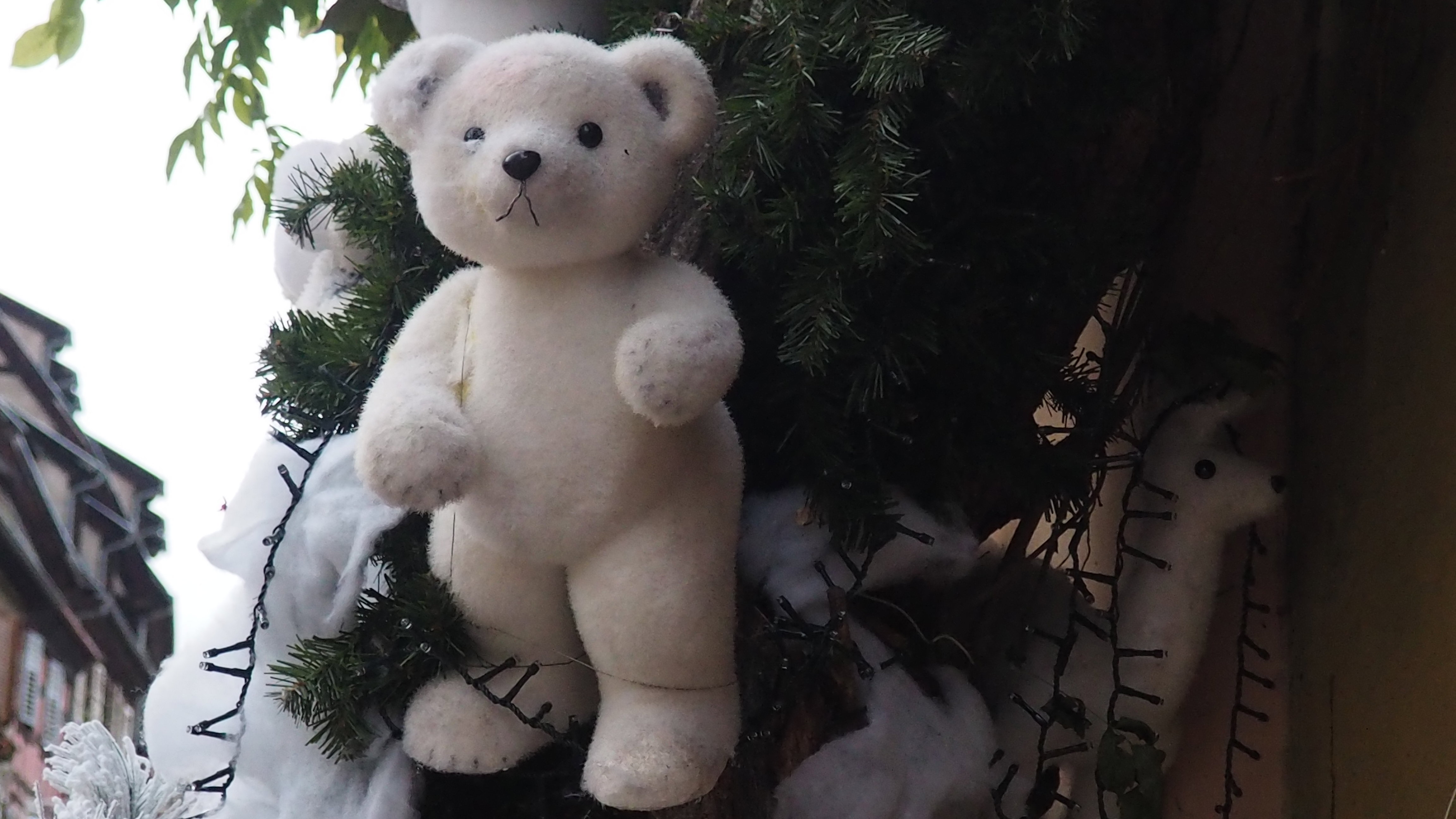 Christmas in Alsace