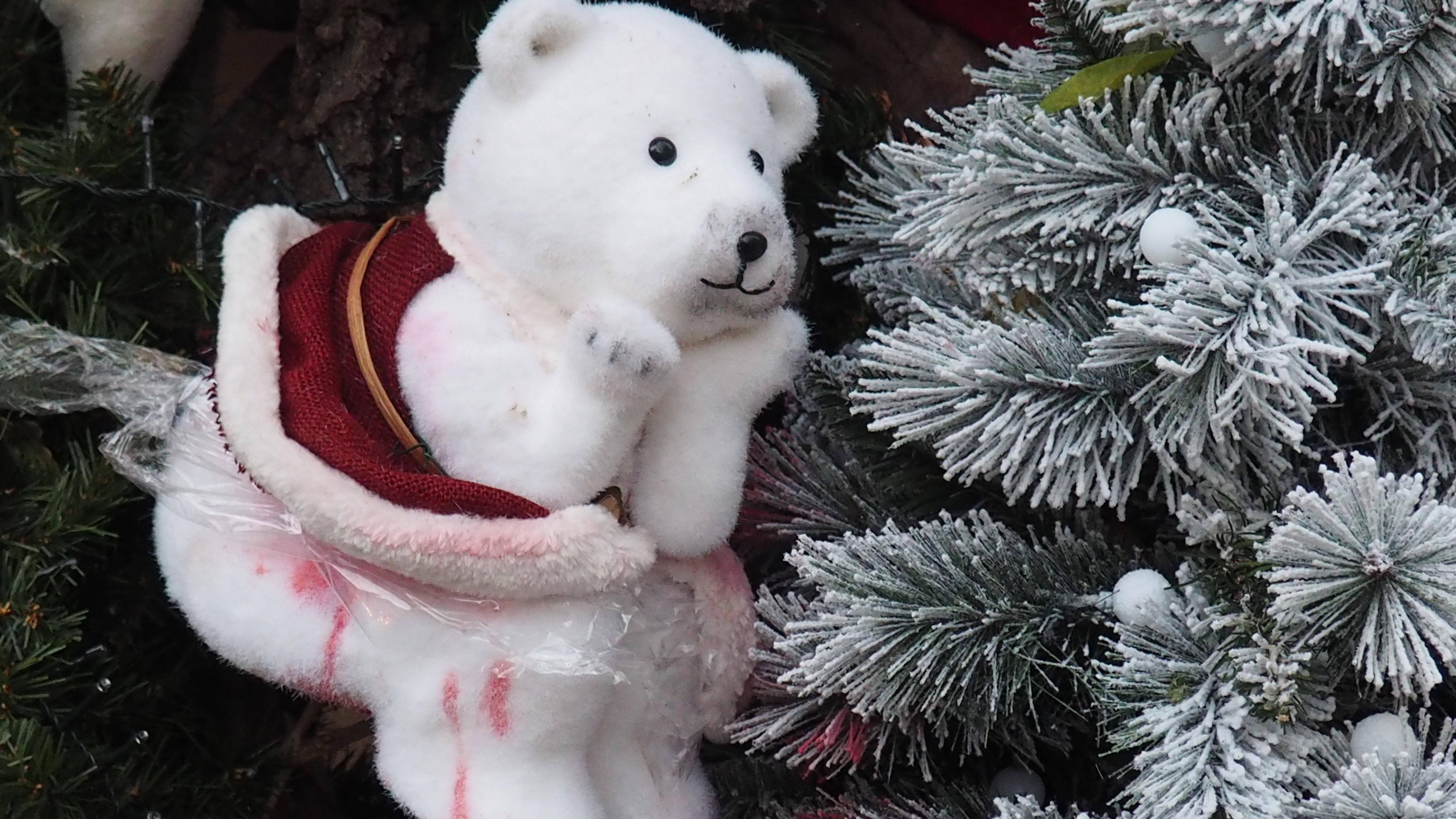 Christmas in Alsace