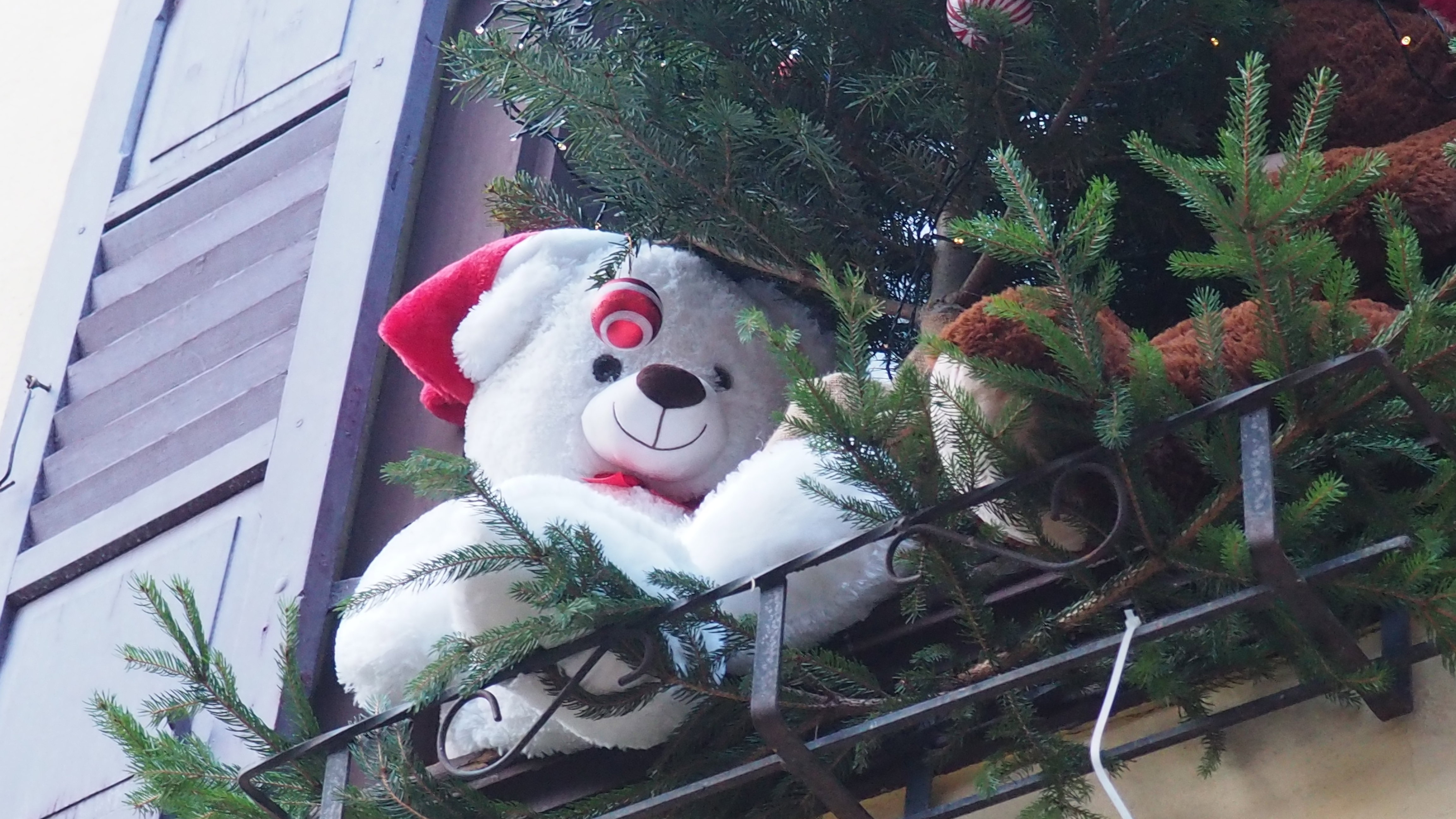Christmas in Alsace