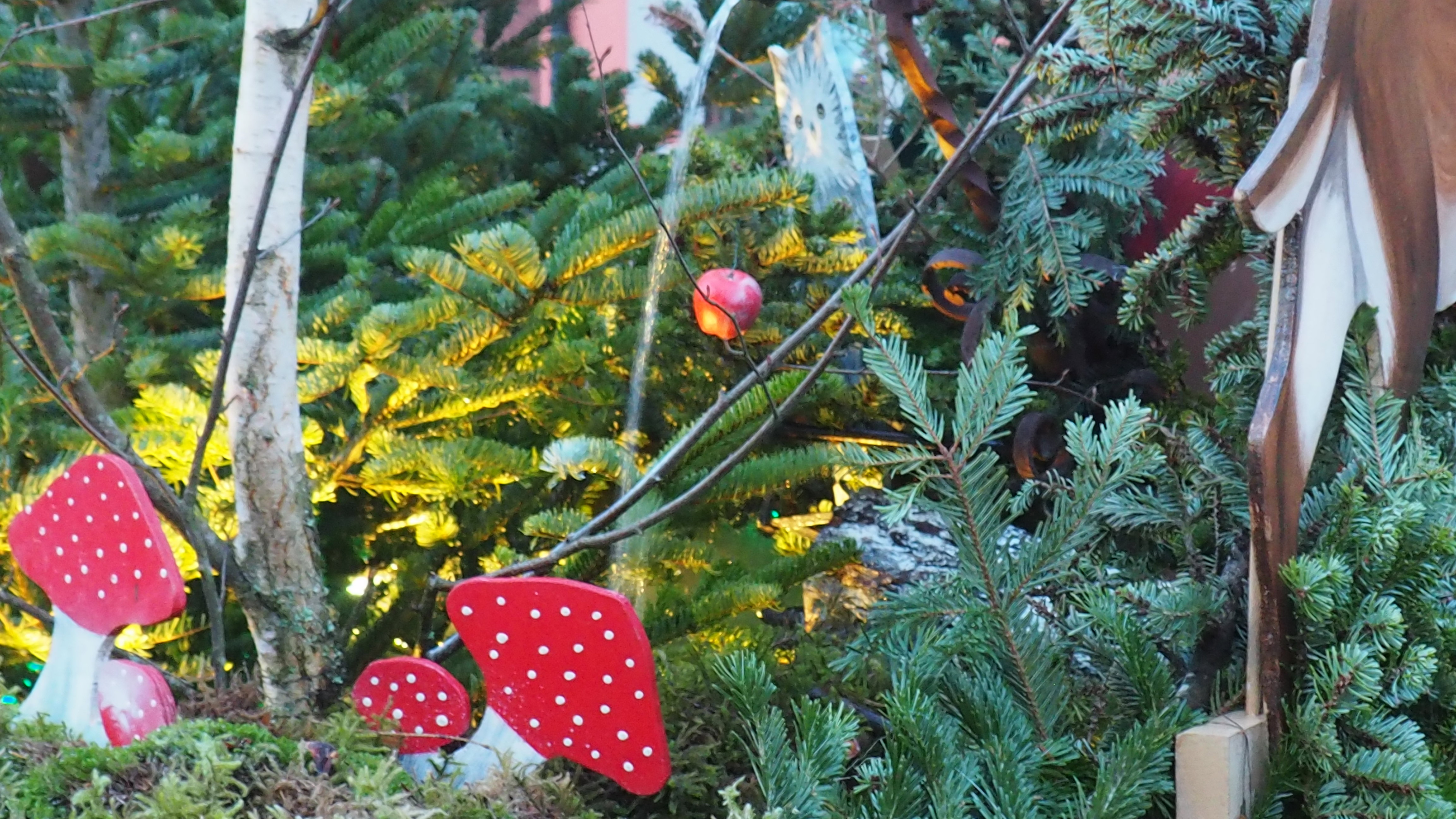 Christmas in Alsace
