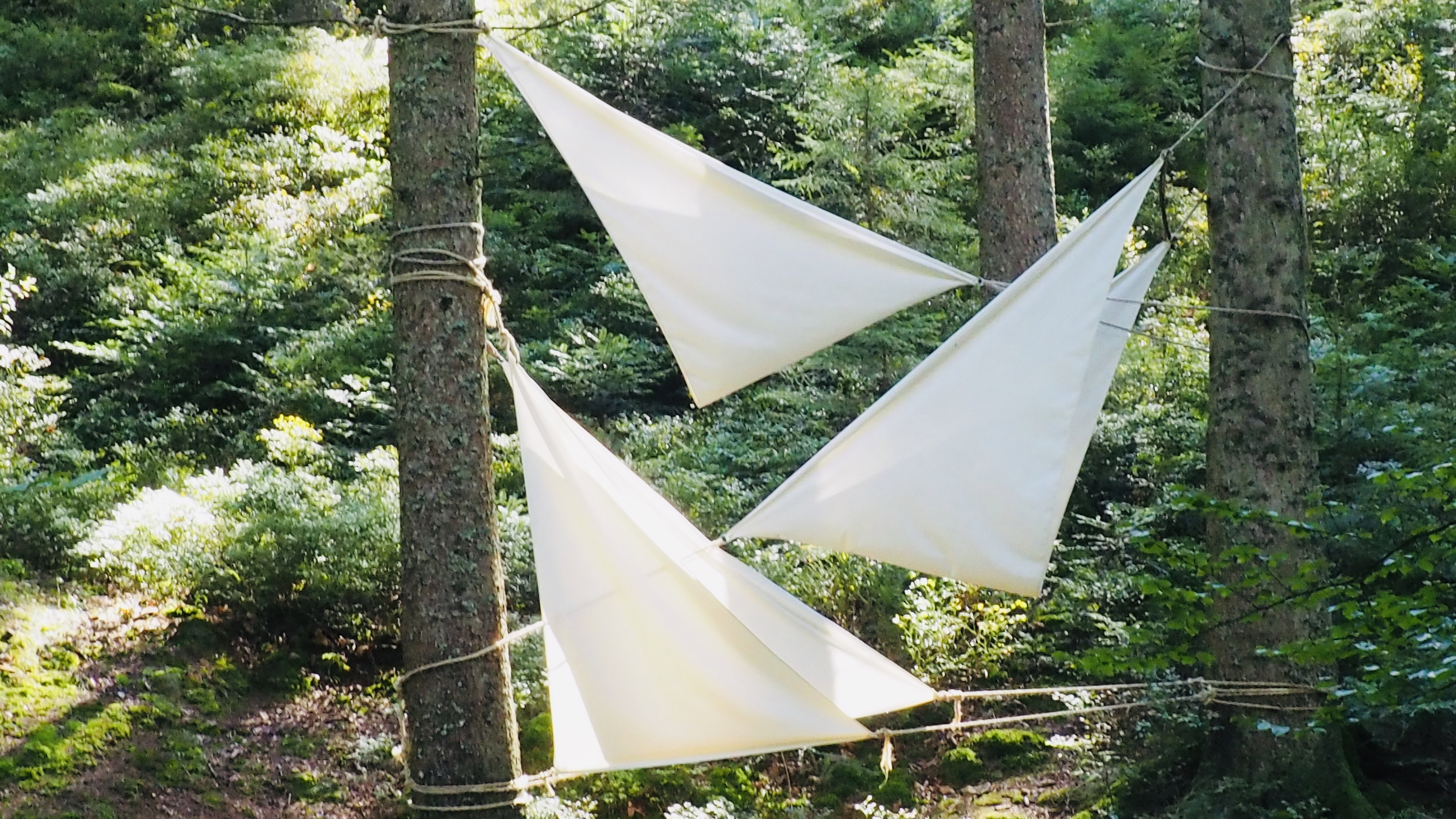 Art in the heart of forests.