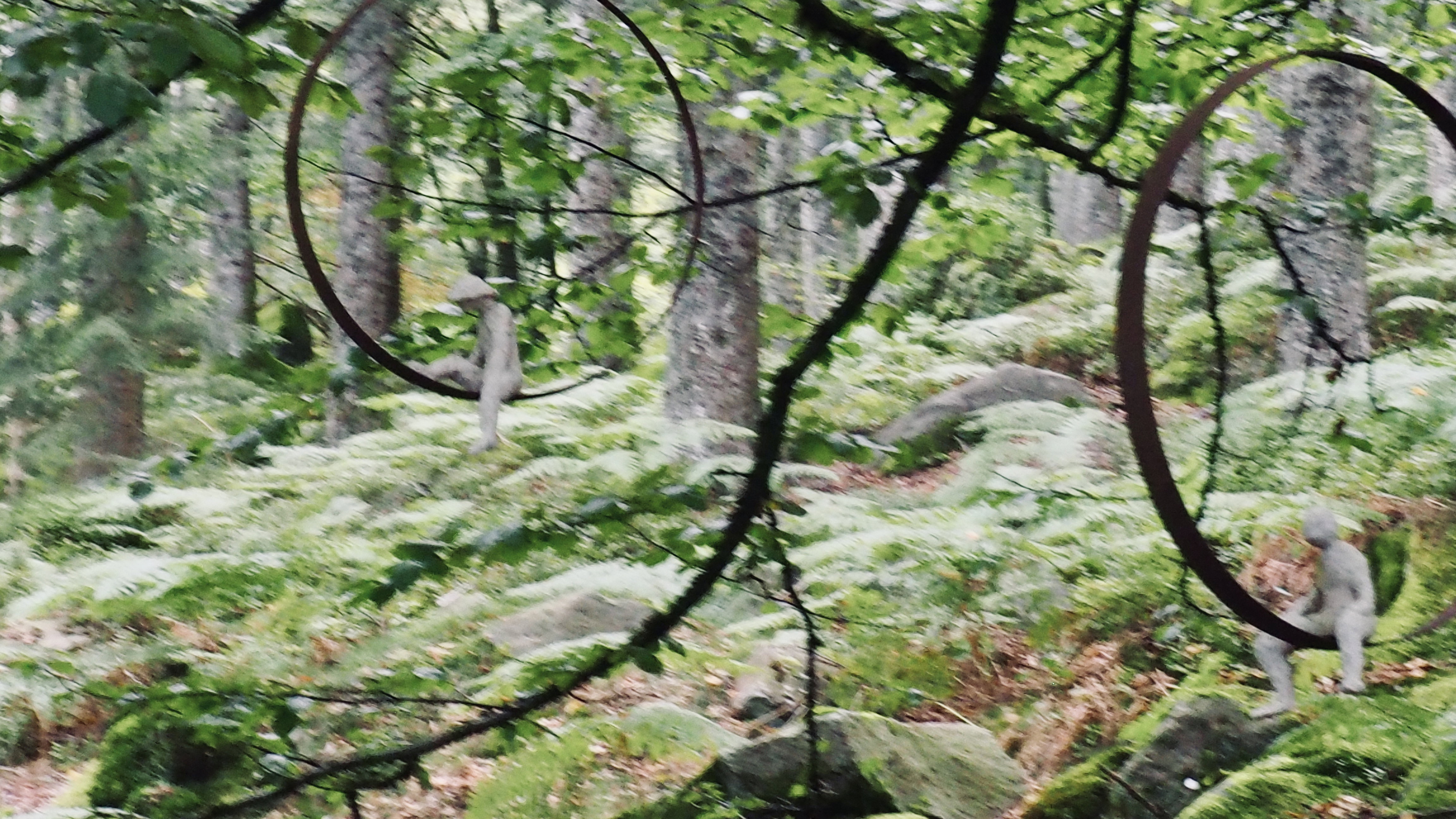 Art in the heart of forests. Outdoor game