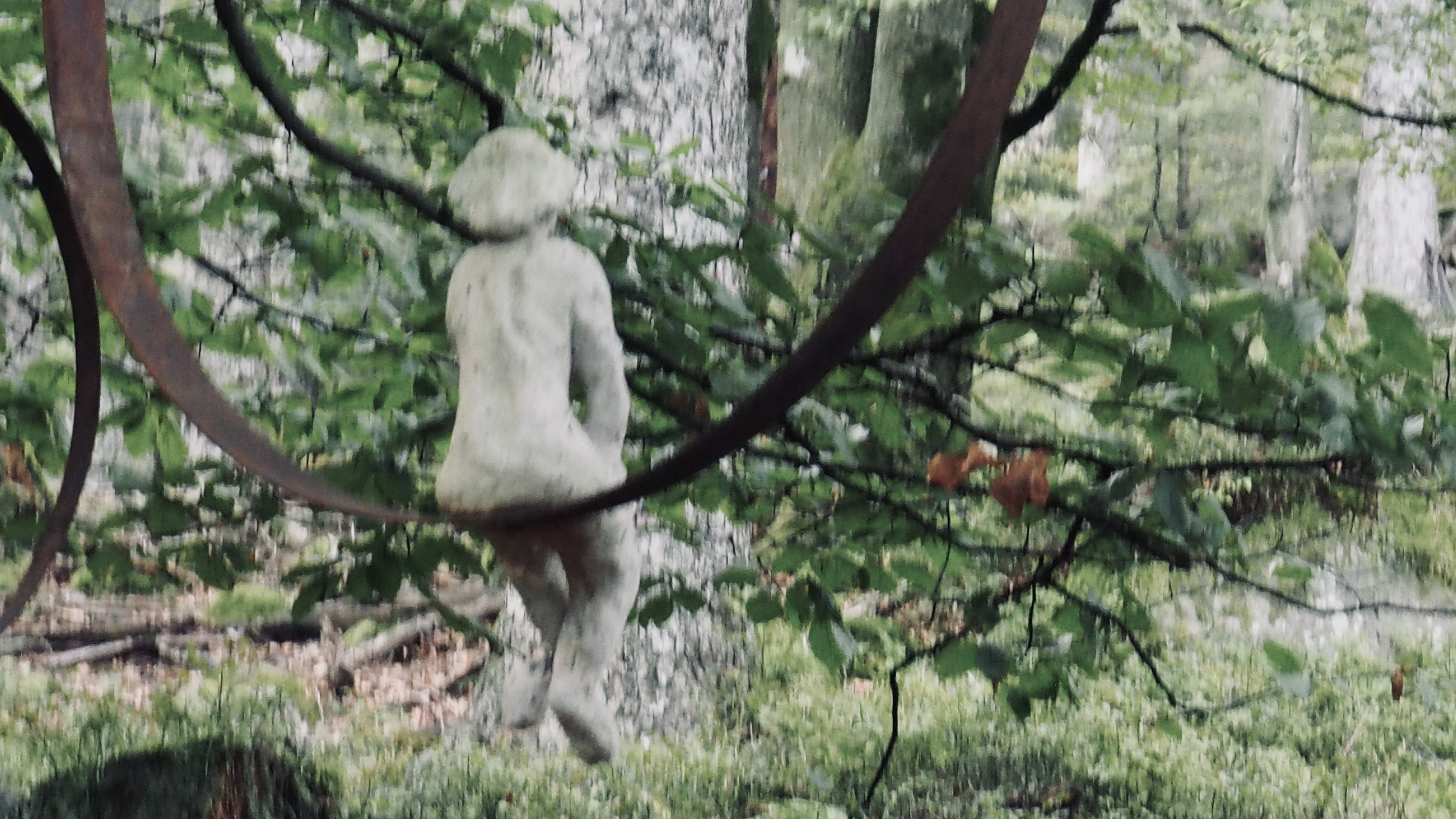 Art in the heart of forests. Outdoor game