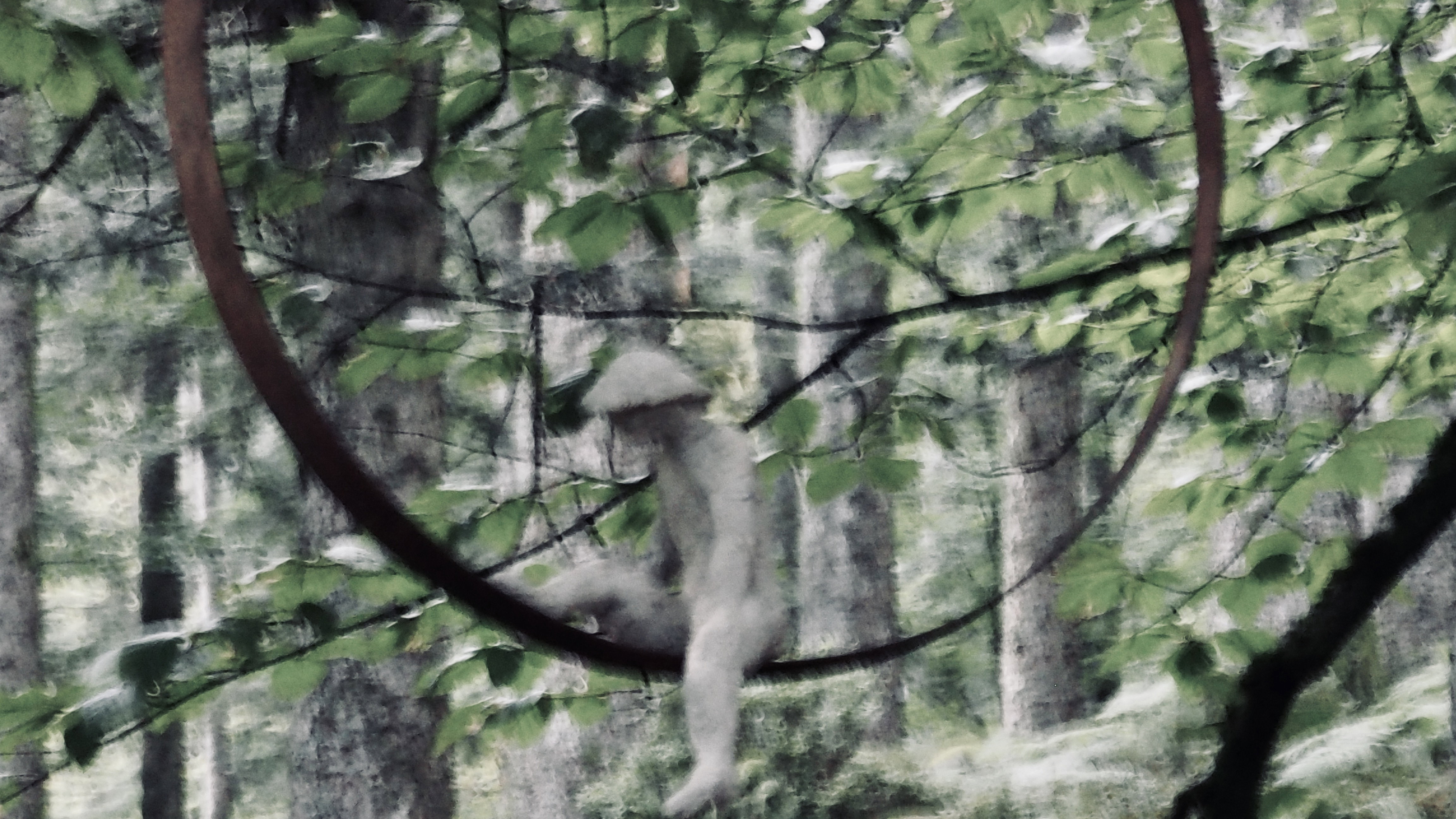 Art in the heart of forests. Outdoor game