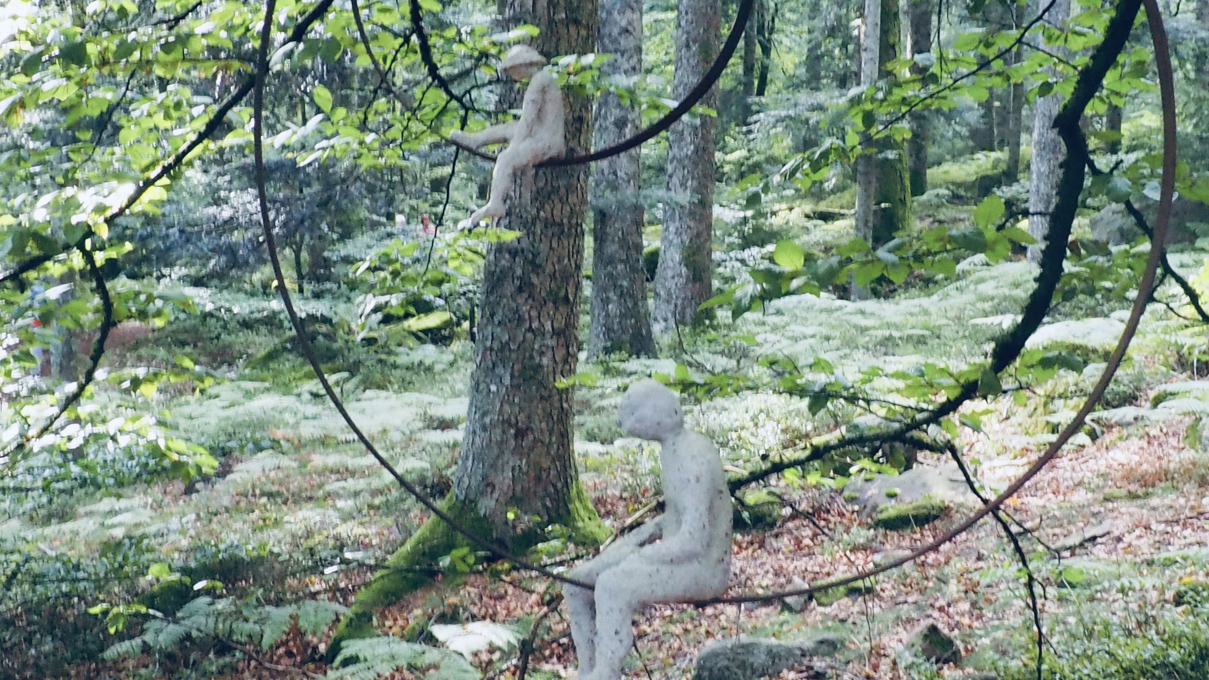 Art in the heart of forests. Outdoor game