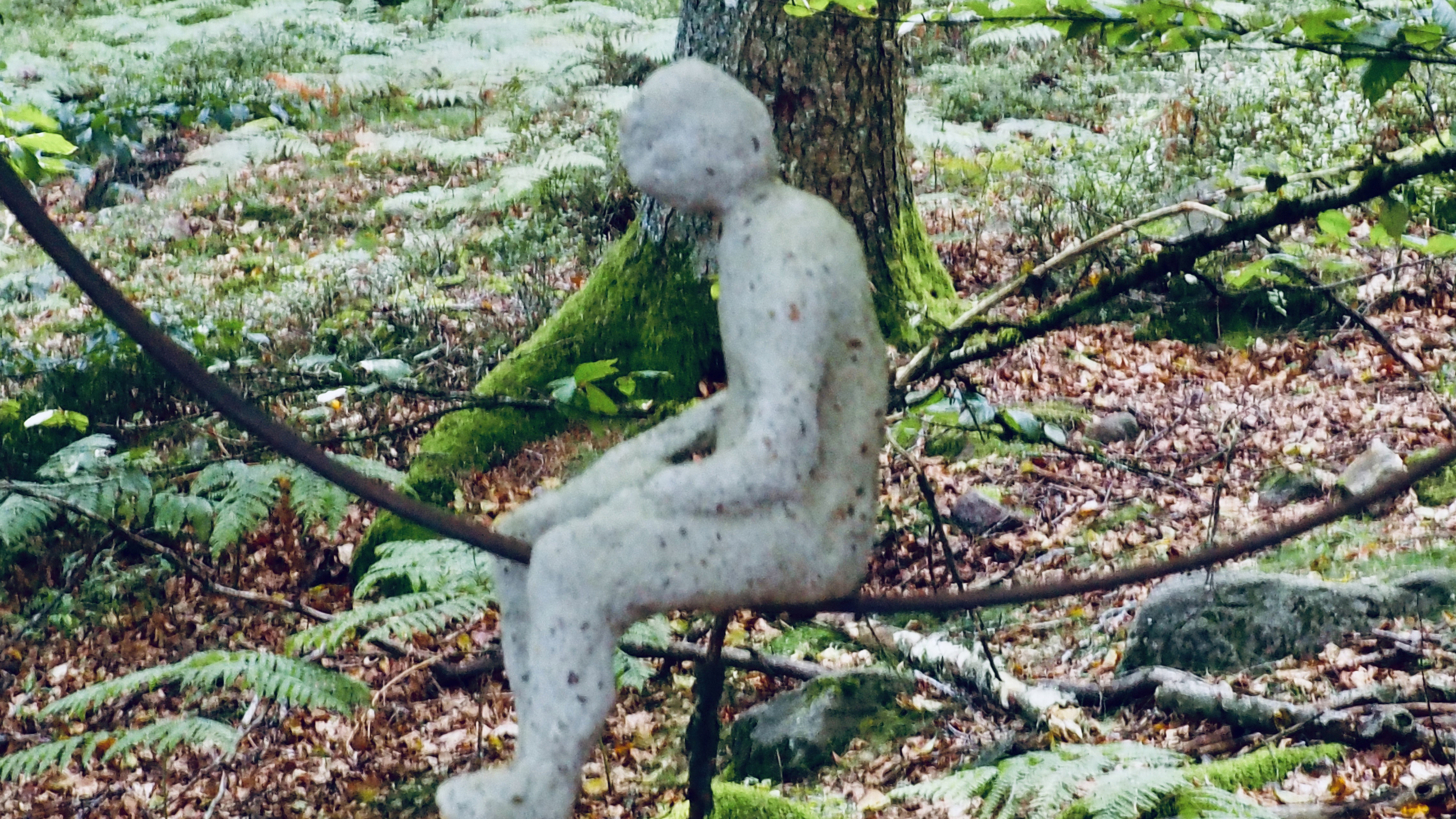 Art in the heart of forests. Outdoor game