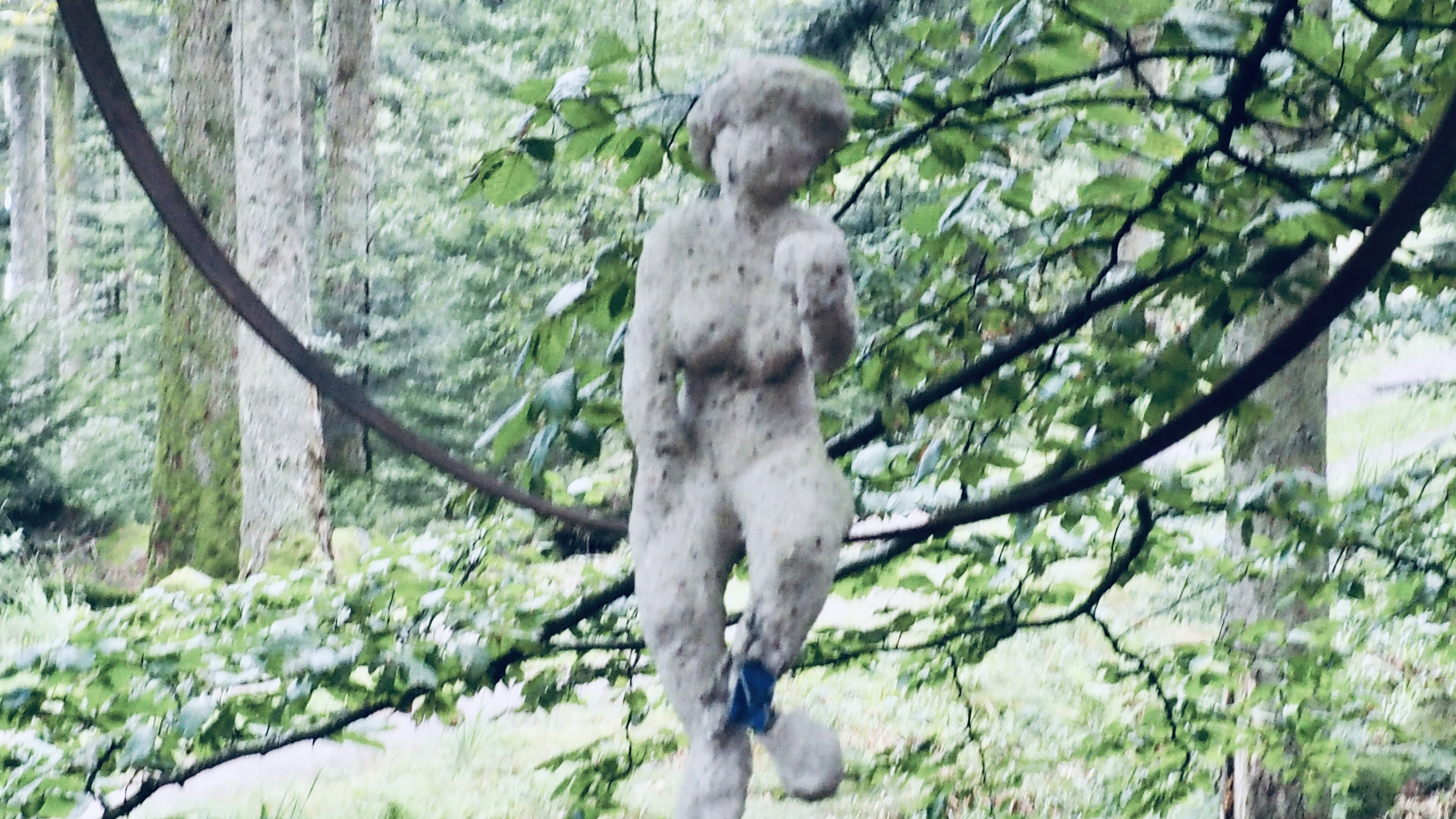 Art in the heart of forests. Outdoor game