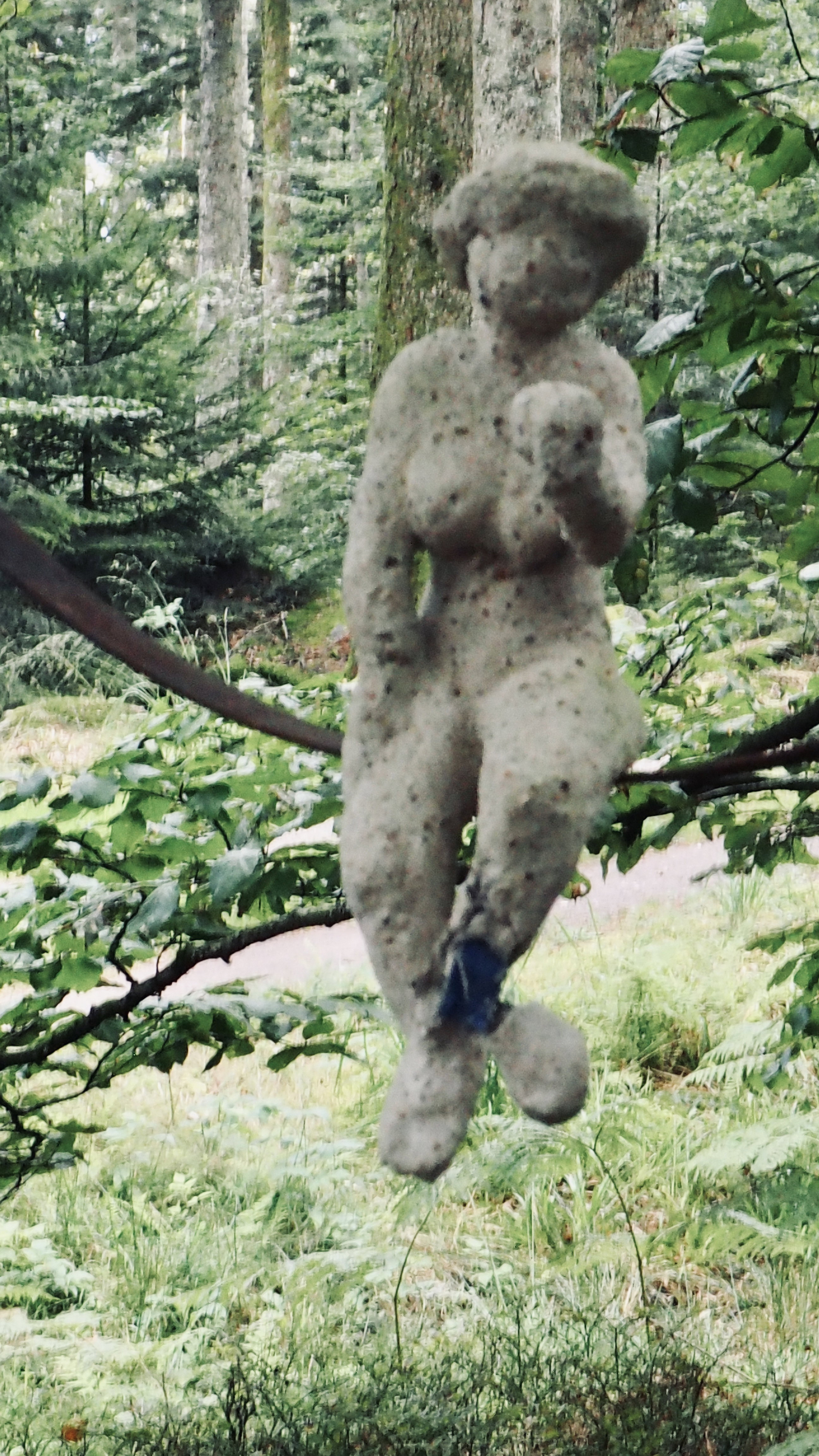 Art in the heart of forests. Outdoor game