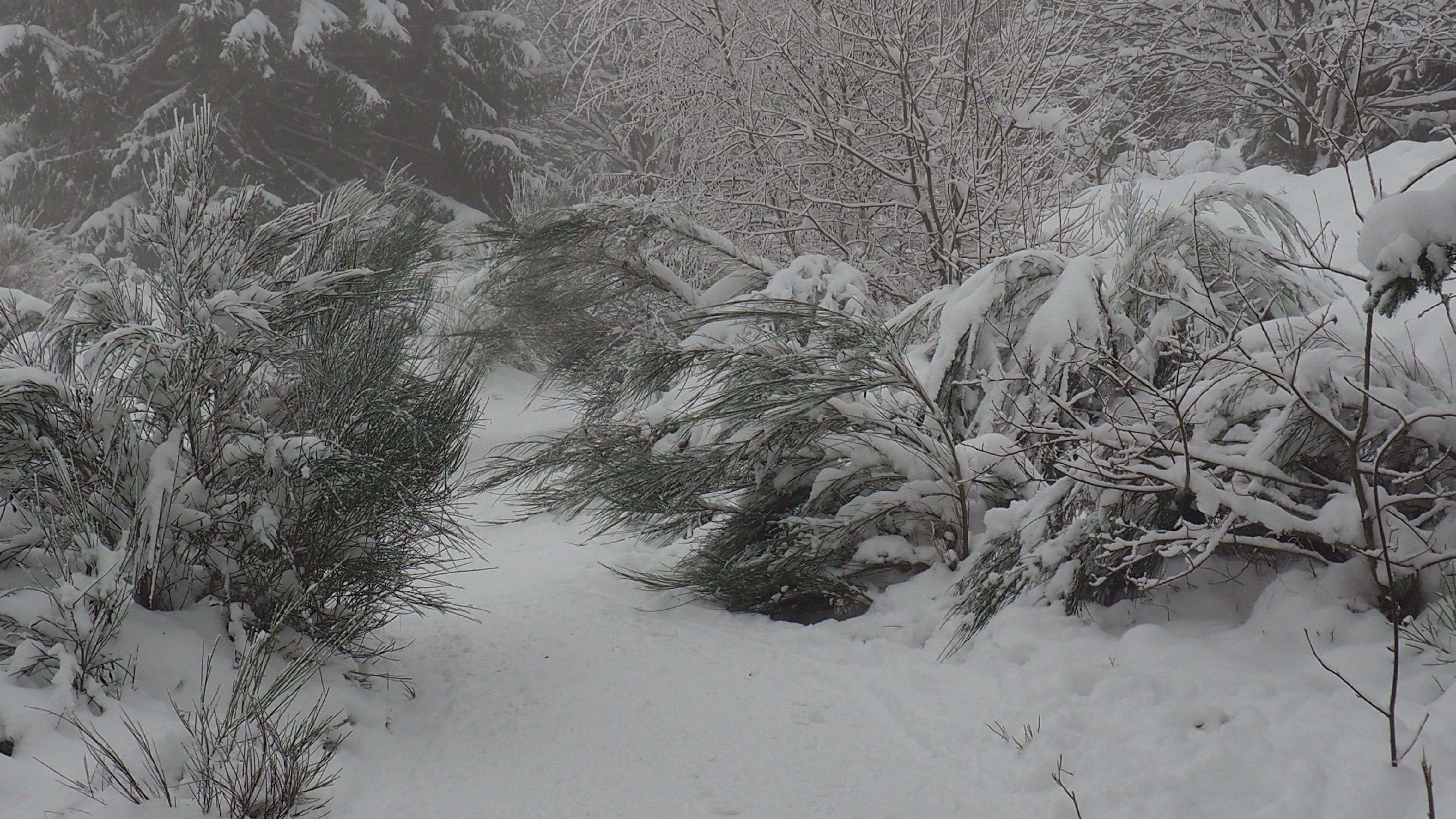 It always takes a winter to rock a spring!