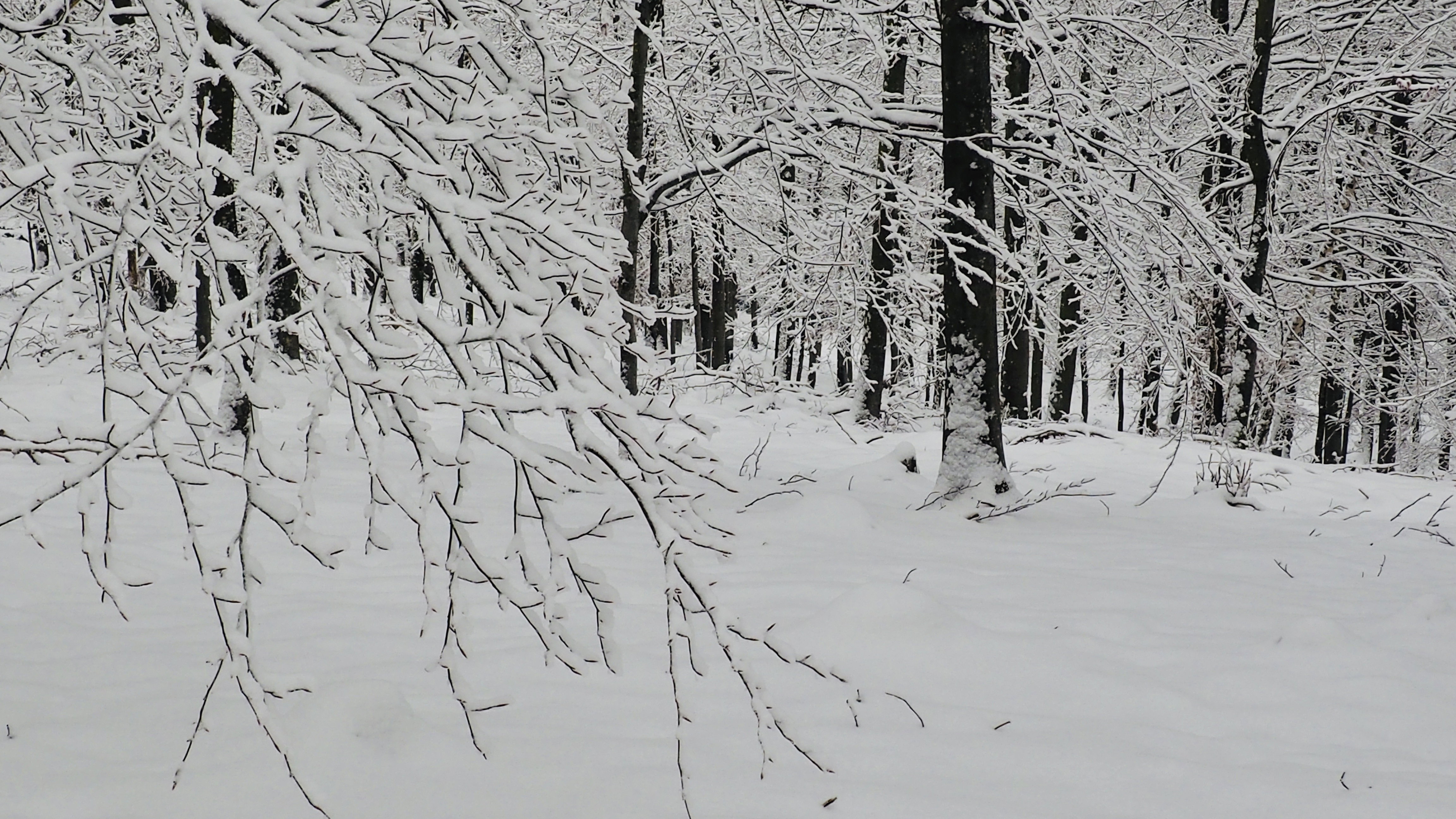 It always takes a winter to rock a spring!