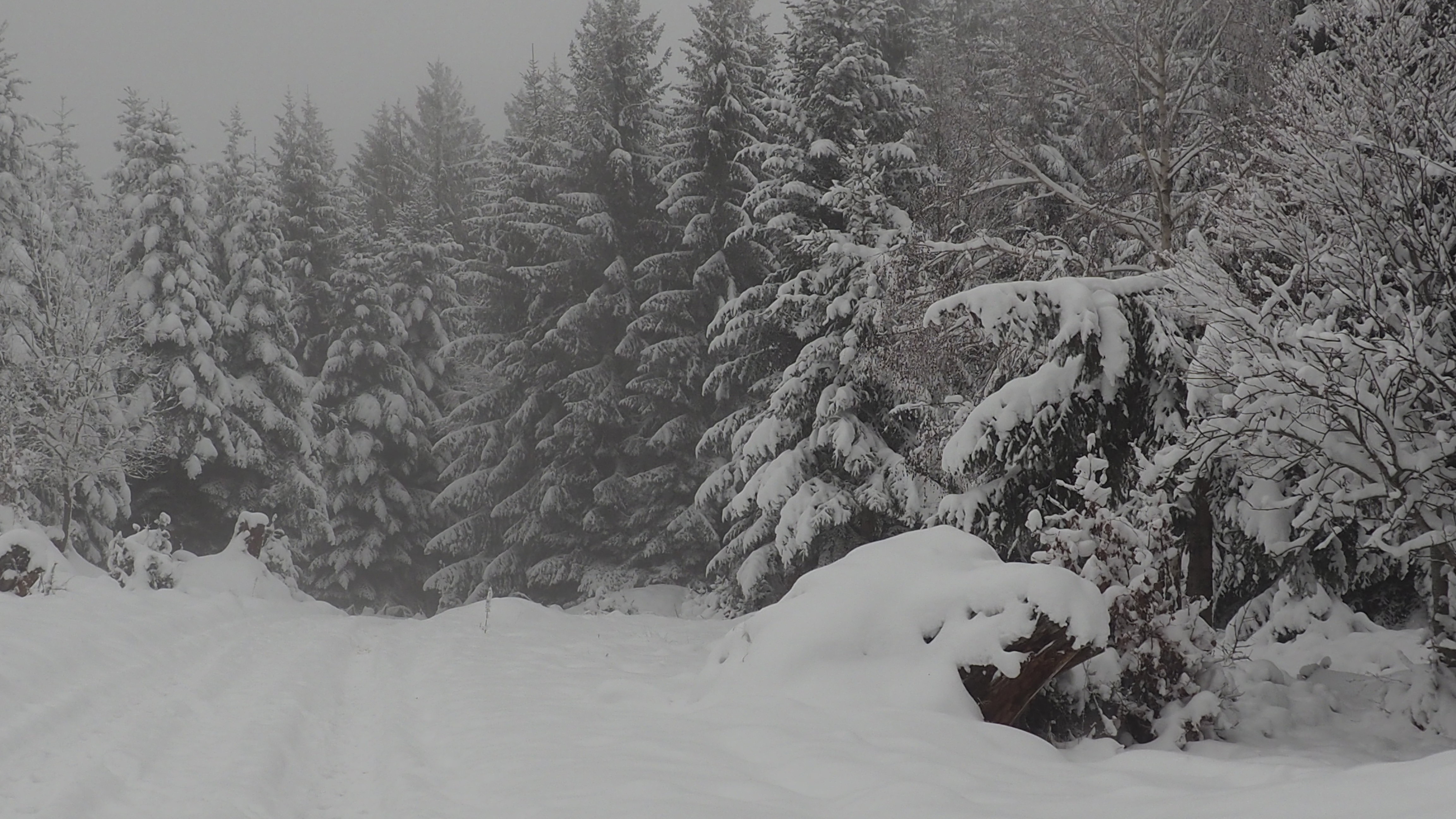 Winter 2020-2021 - It snowed