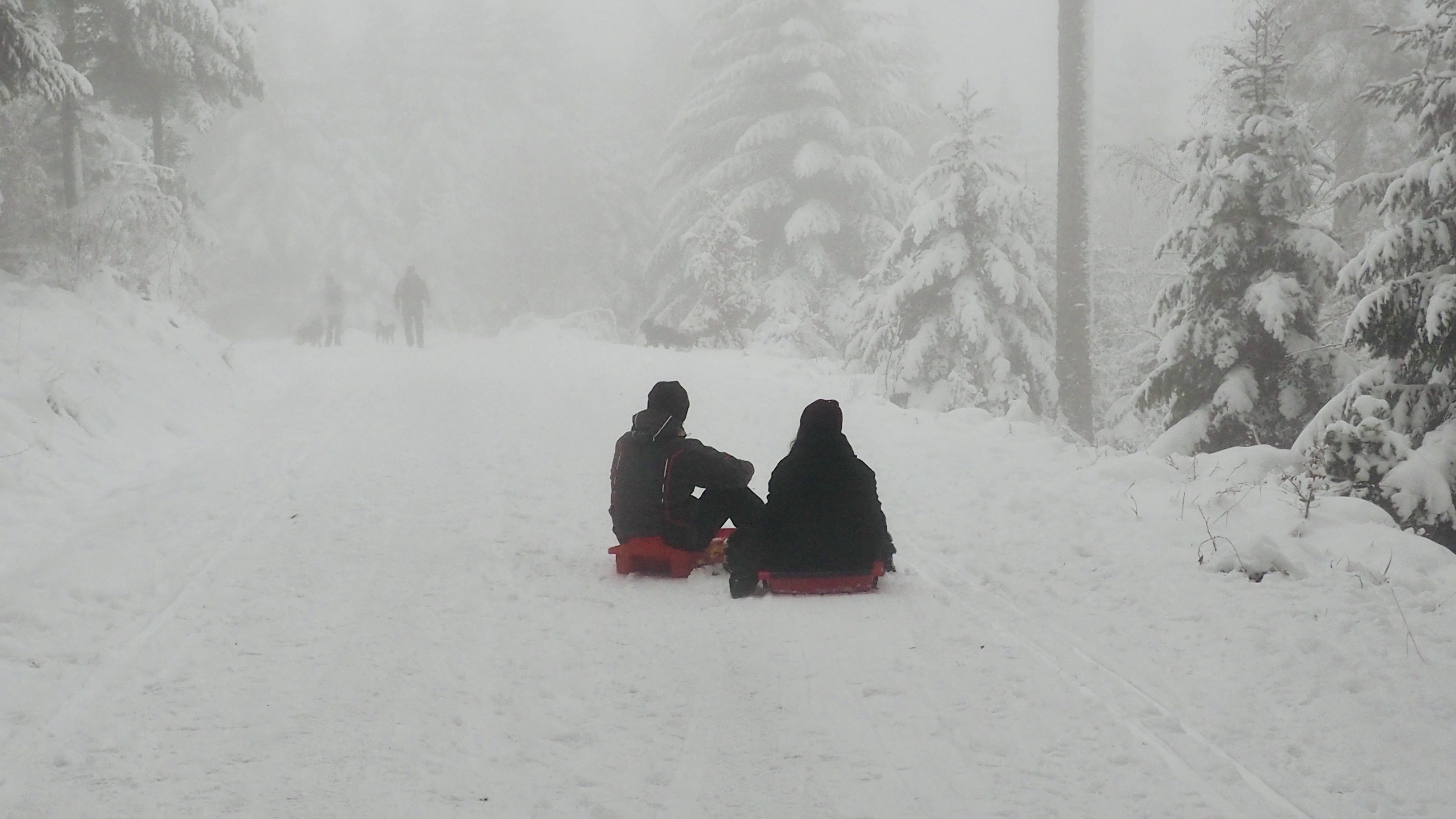 Winter 2020-2021 - It snowed