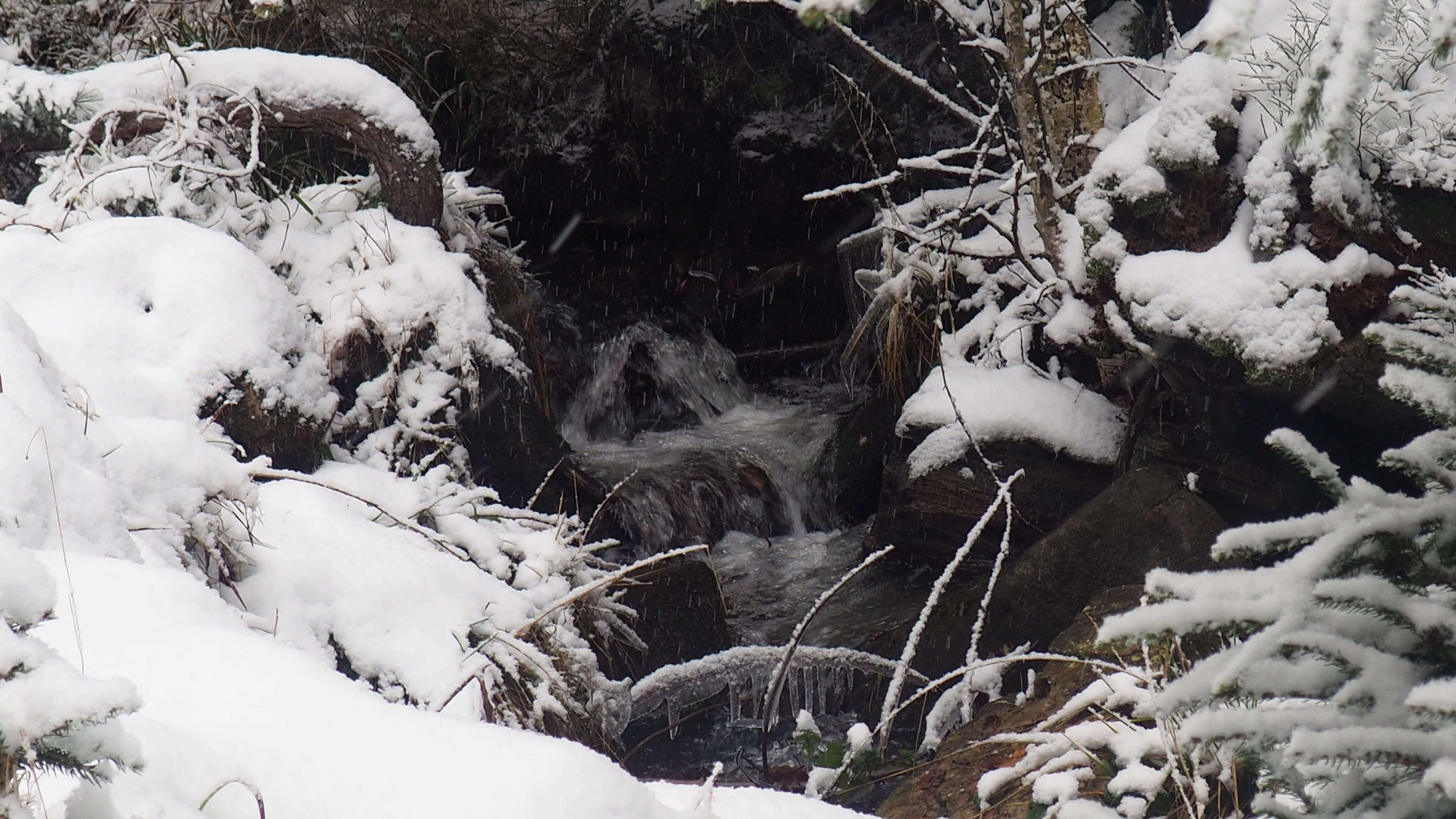 Winter 2020-2021 - It snowed