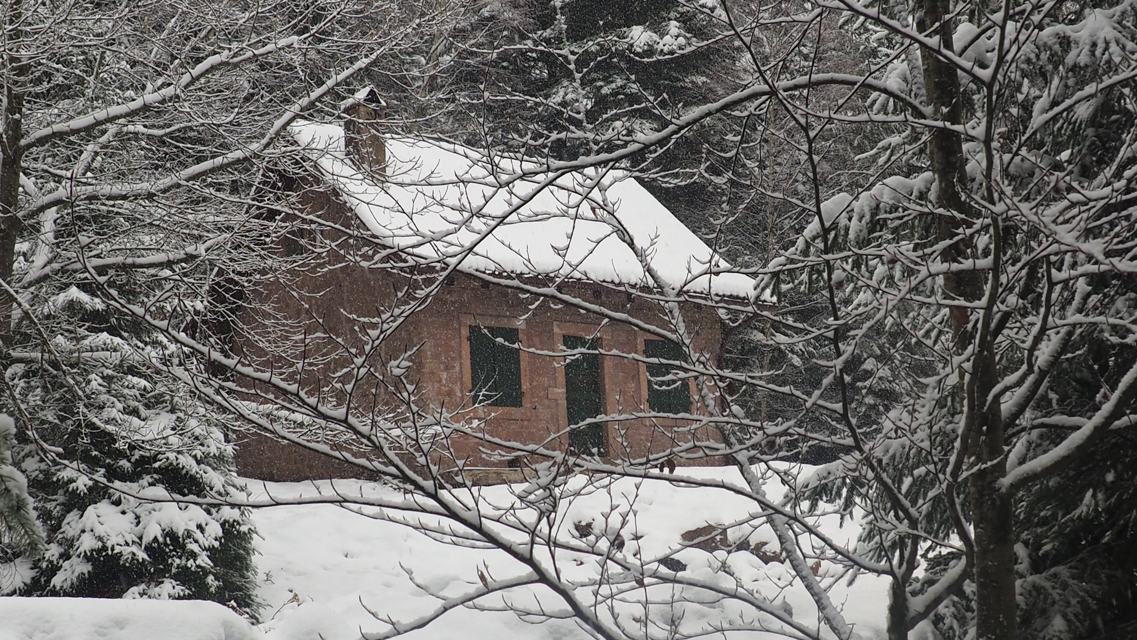 Winter 2020-2021 - It snowed