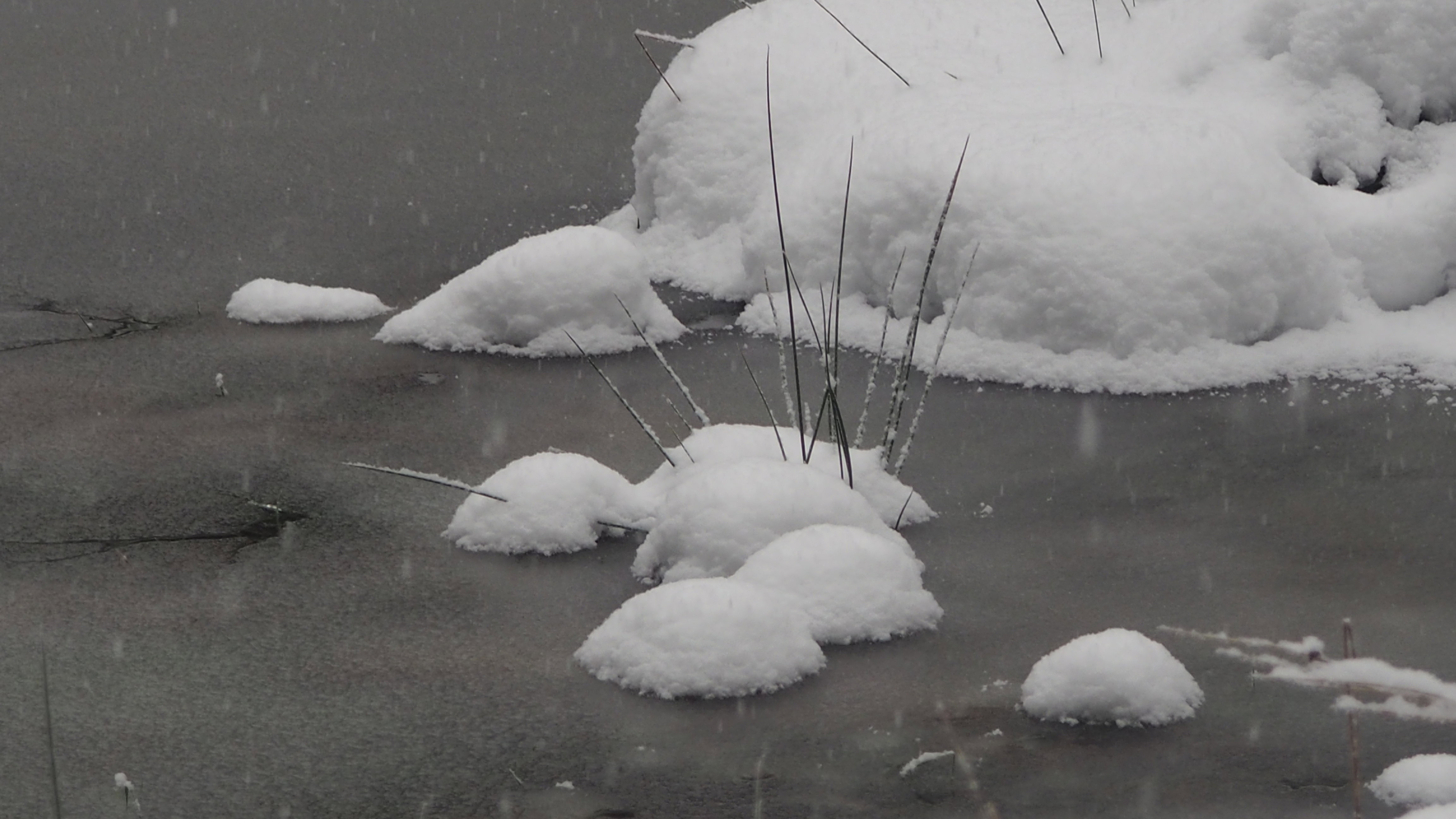 Winter 2020-2021 - It snowed