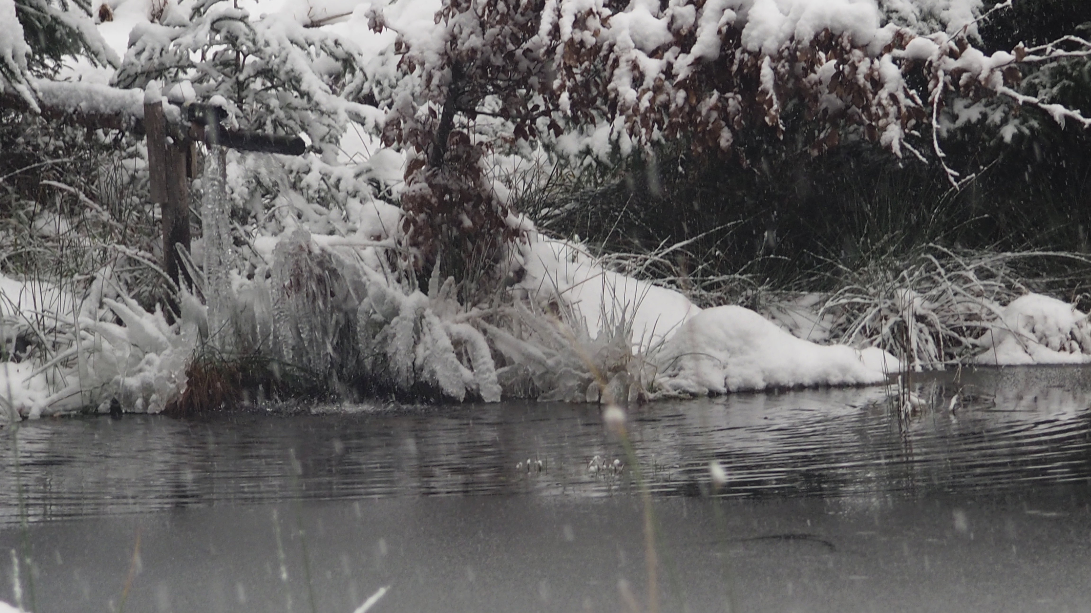 Winter 2020-2021 - It snowed