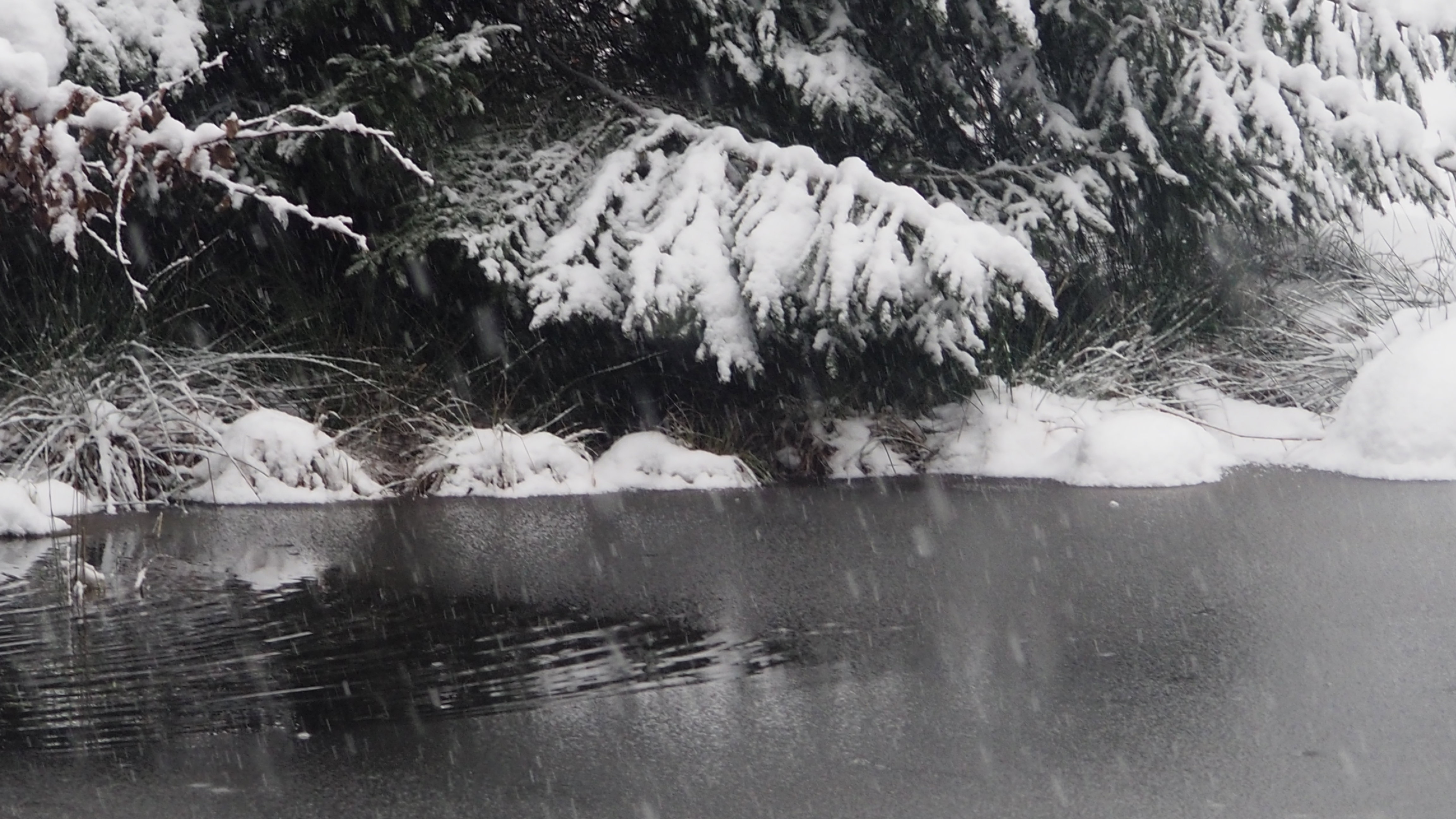 Winter 2020-2021 - It snowed