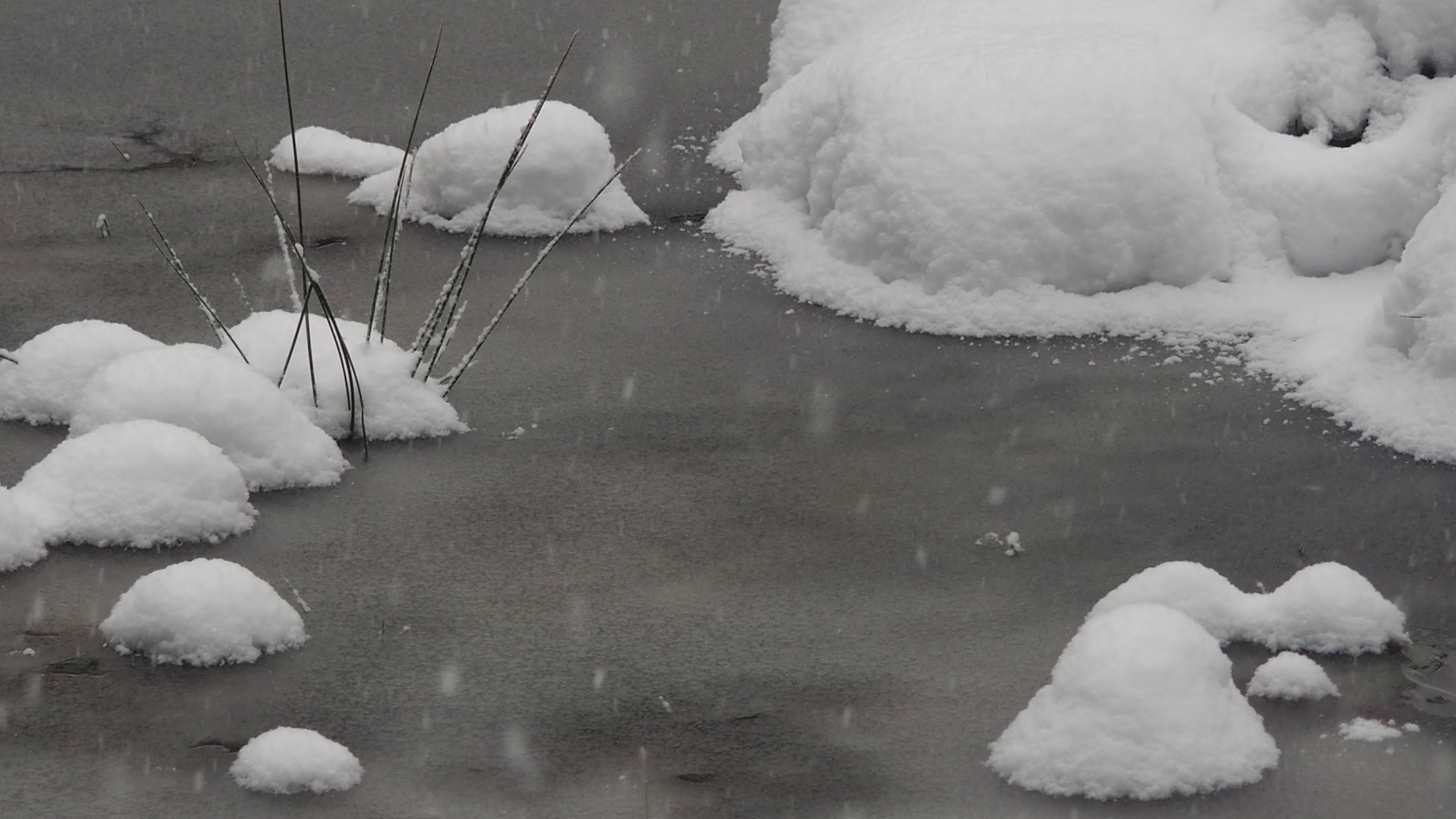 Winter 2020-2021 - It snowed