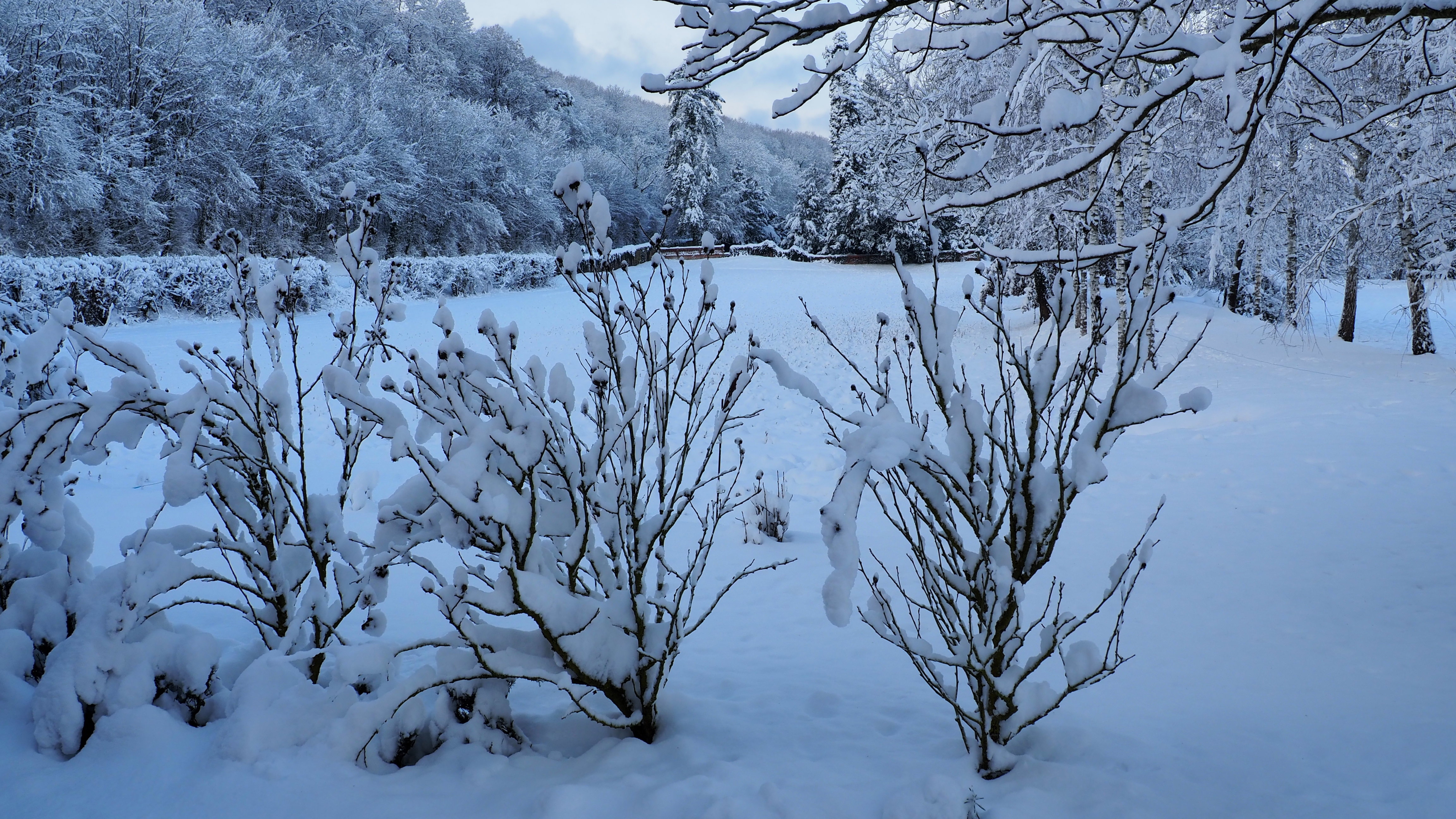Winter 2020-2021 - It snowed