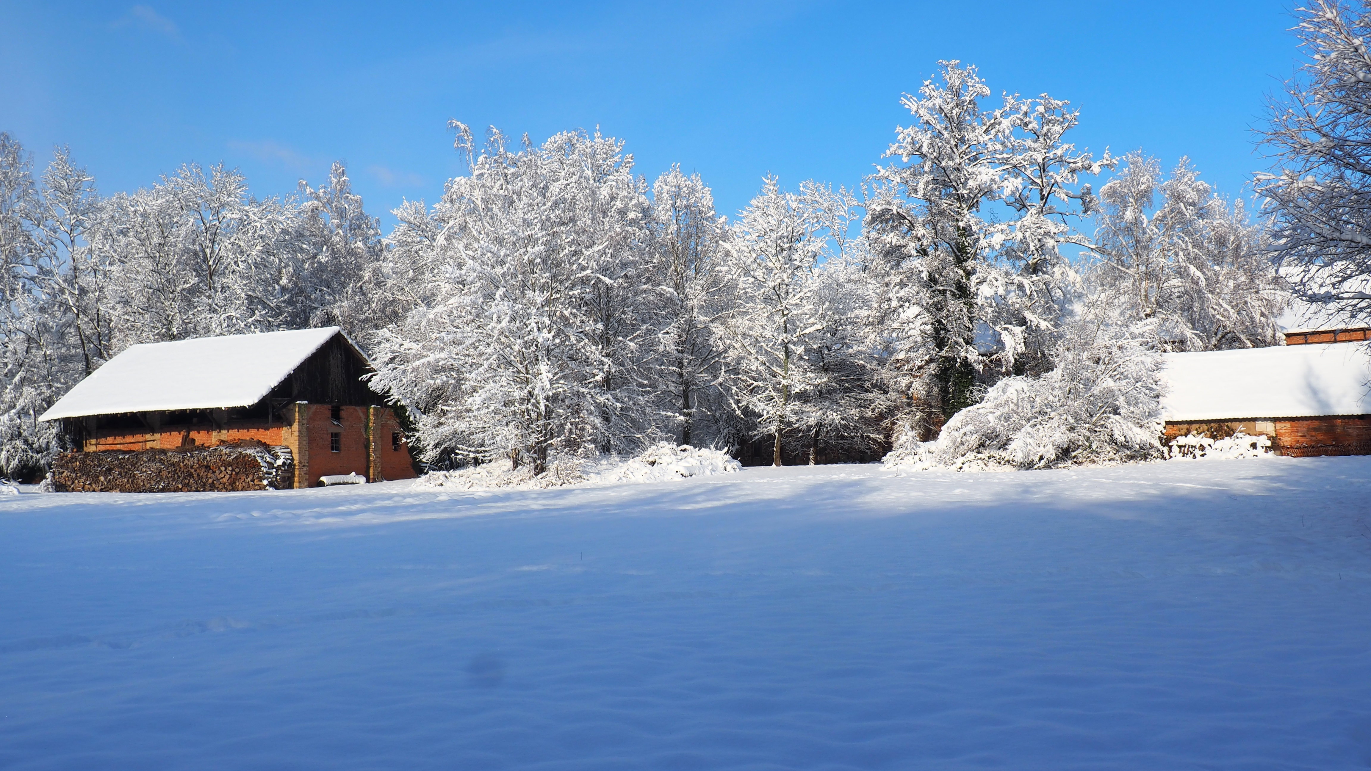 Winter 2020-2021 - It snowed