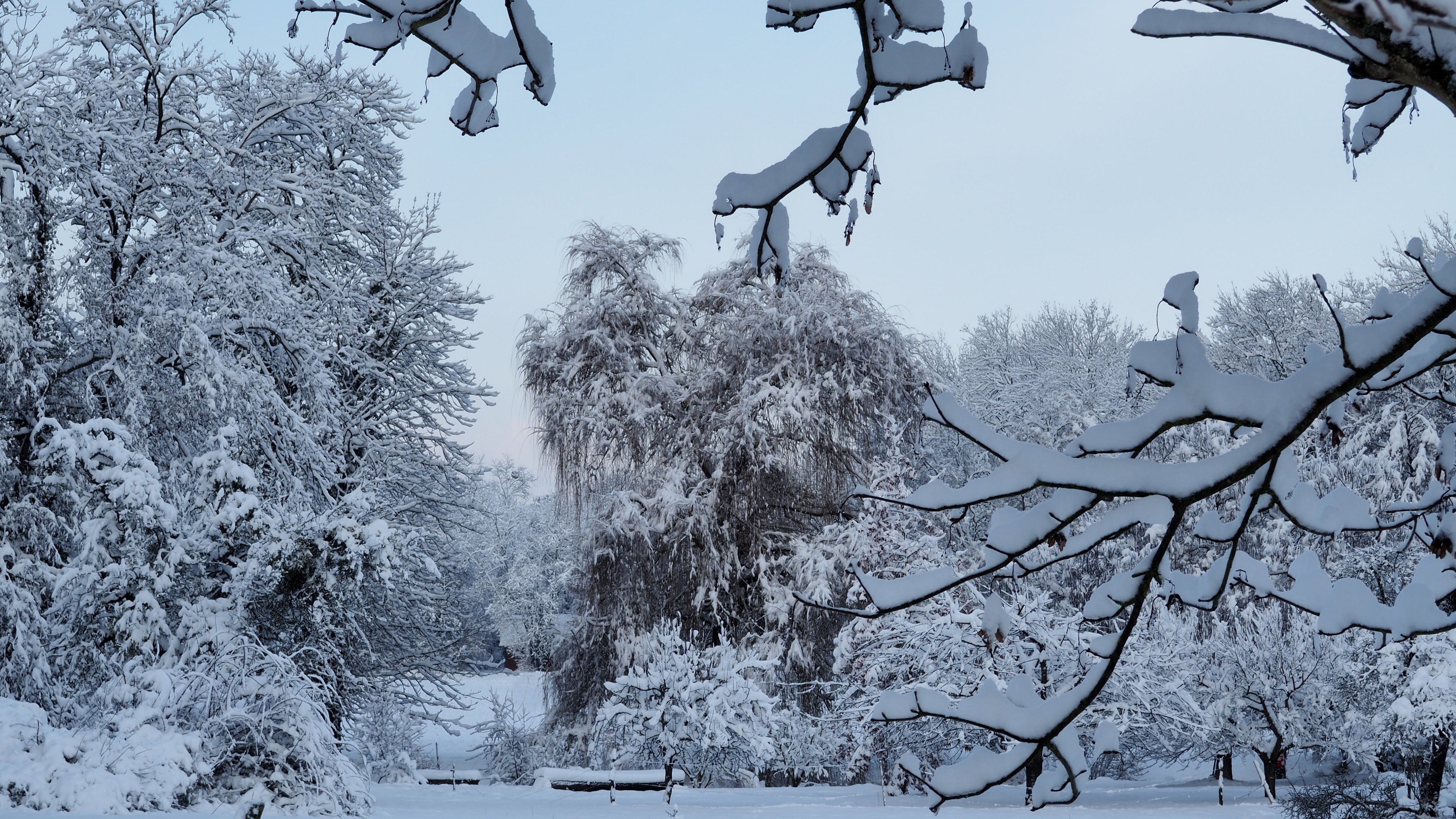 Winter 2020-2021 - It snowed