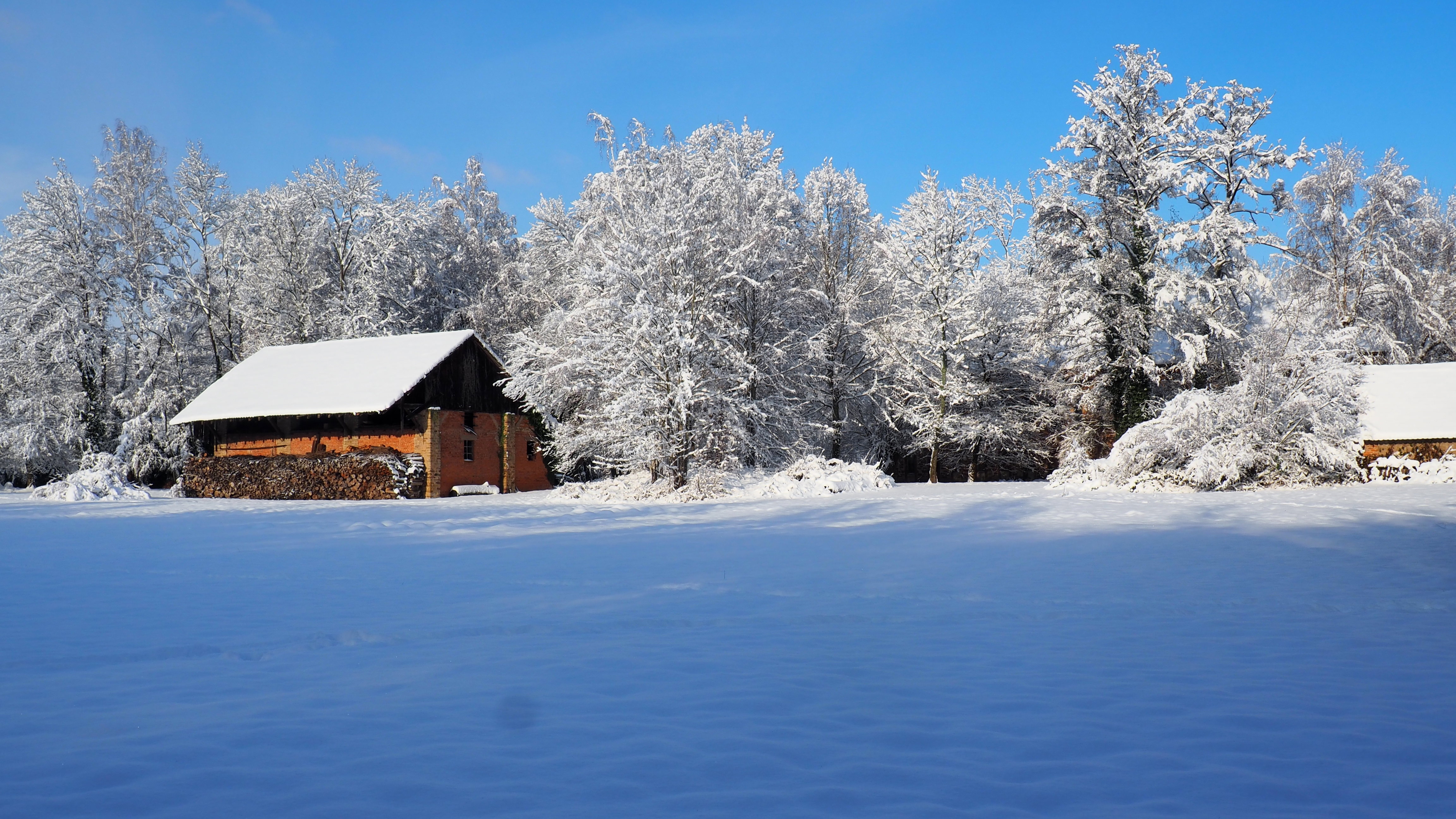 Winter 2020-2021 - It snowed