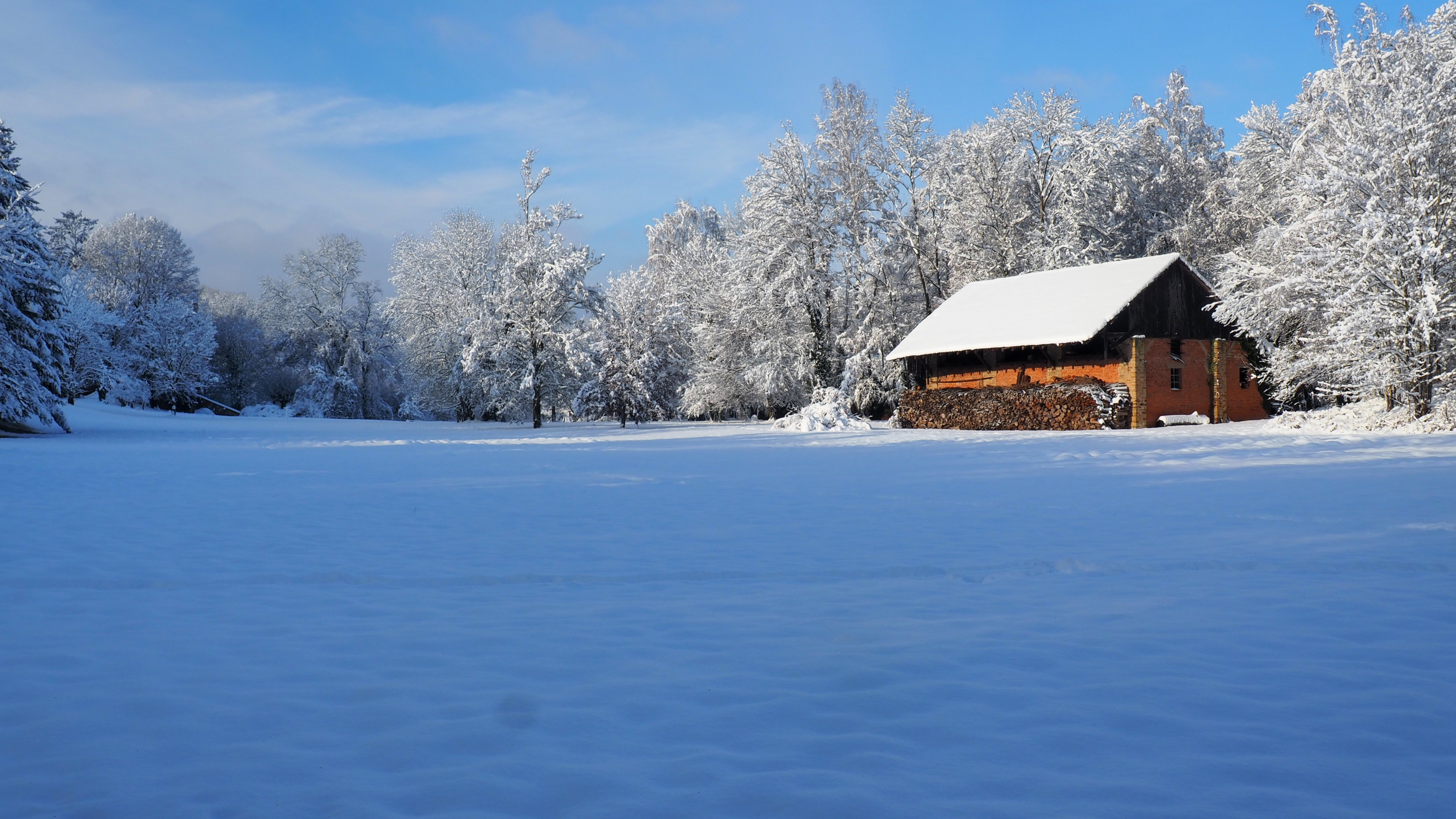 Winter 2020-2021 - It snowed